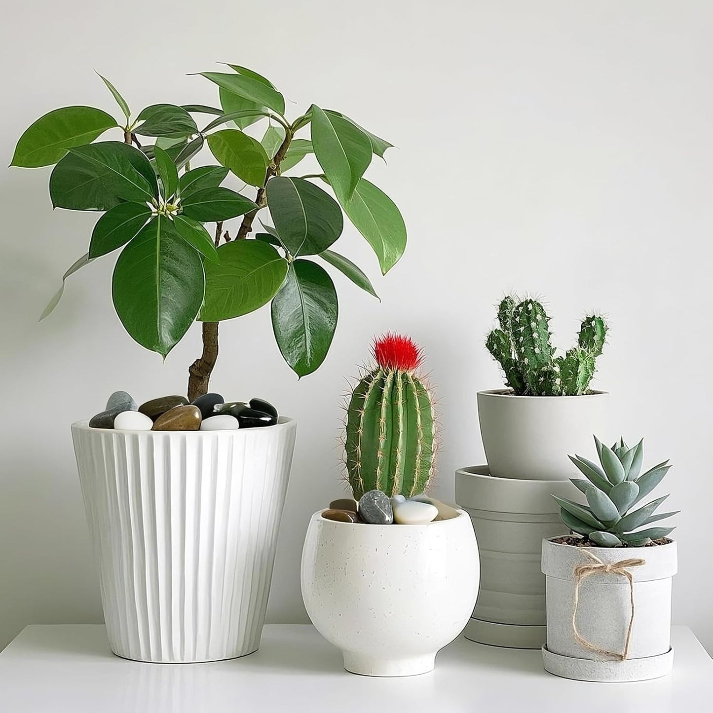 Pebbles for Plants, 5lbs Colorful Pebbles 1-2 Inch Decorative River Rocks for Indoor Planters, High Polished Stones for Vase Filler Fish Tank Landscaping Garden