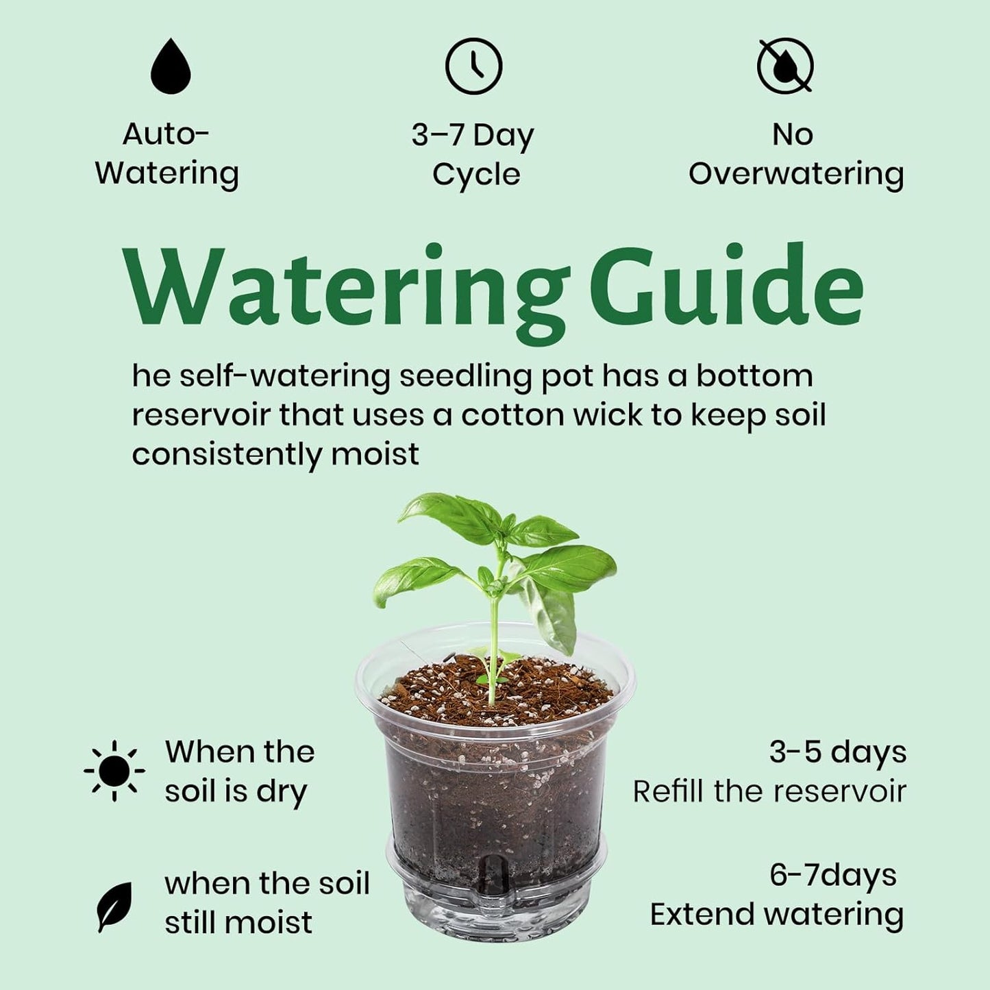 20 Pack 5 Inch Clear Self Watering Plant Pots with Bottom Water Tray & Watering Rope, Transparent Nursery Pots with Drainage for Seedlings, Herbs, and Houseplants