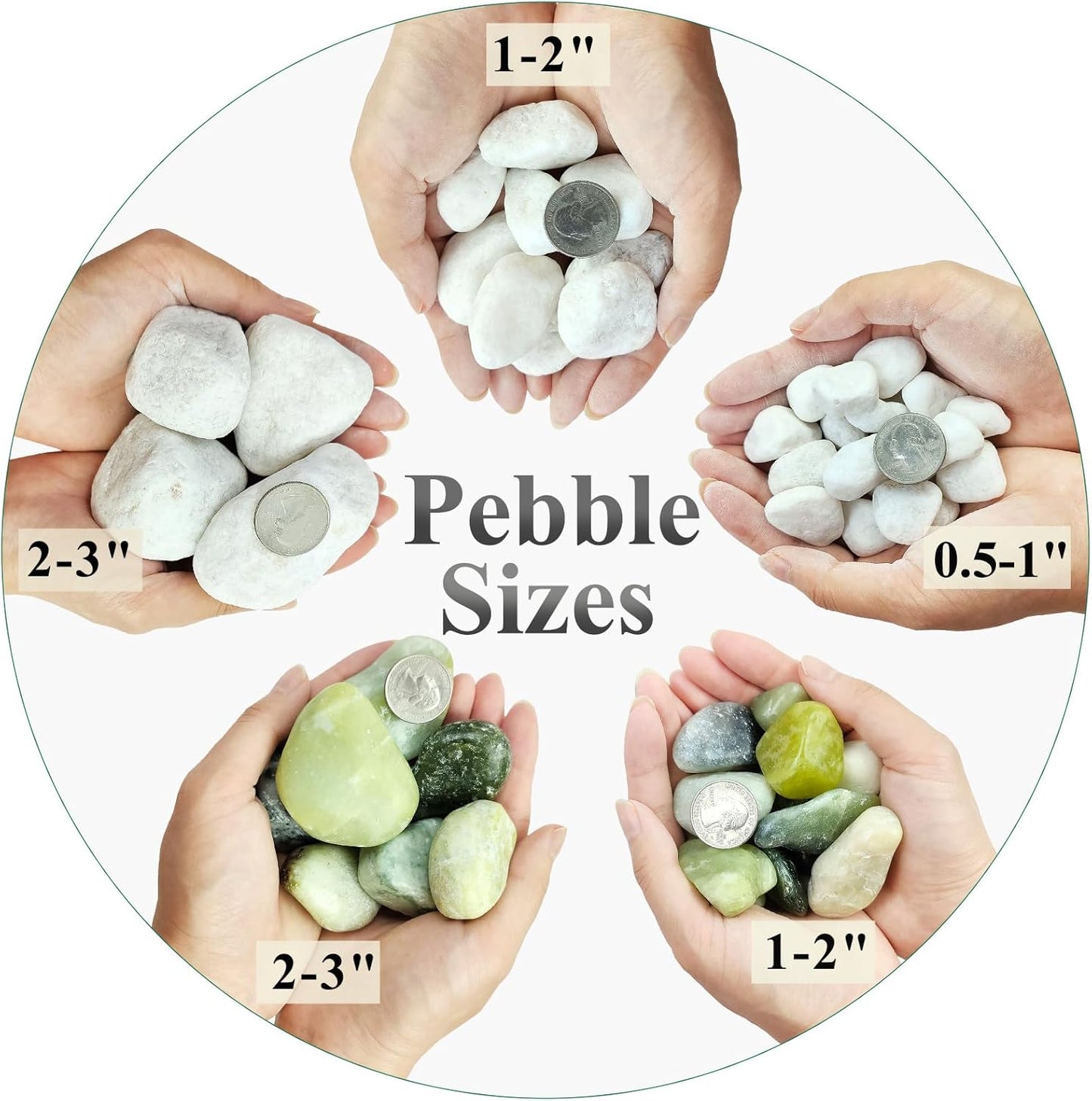 20 lbs White River Rocks for Landscaping, 0.5-1 Inch Pebbles for Indoor Plants, Decorative Stones for Succulent, Cactus, Vases, Aquariums, Crafting and Garden