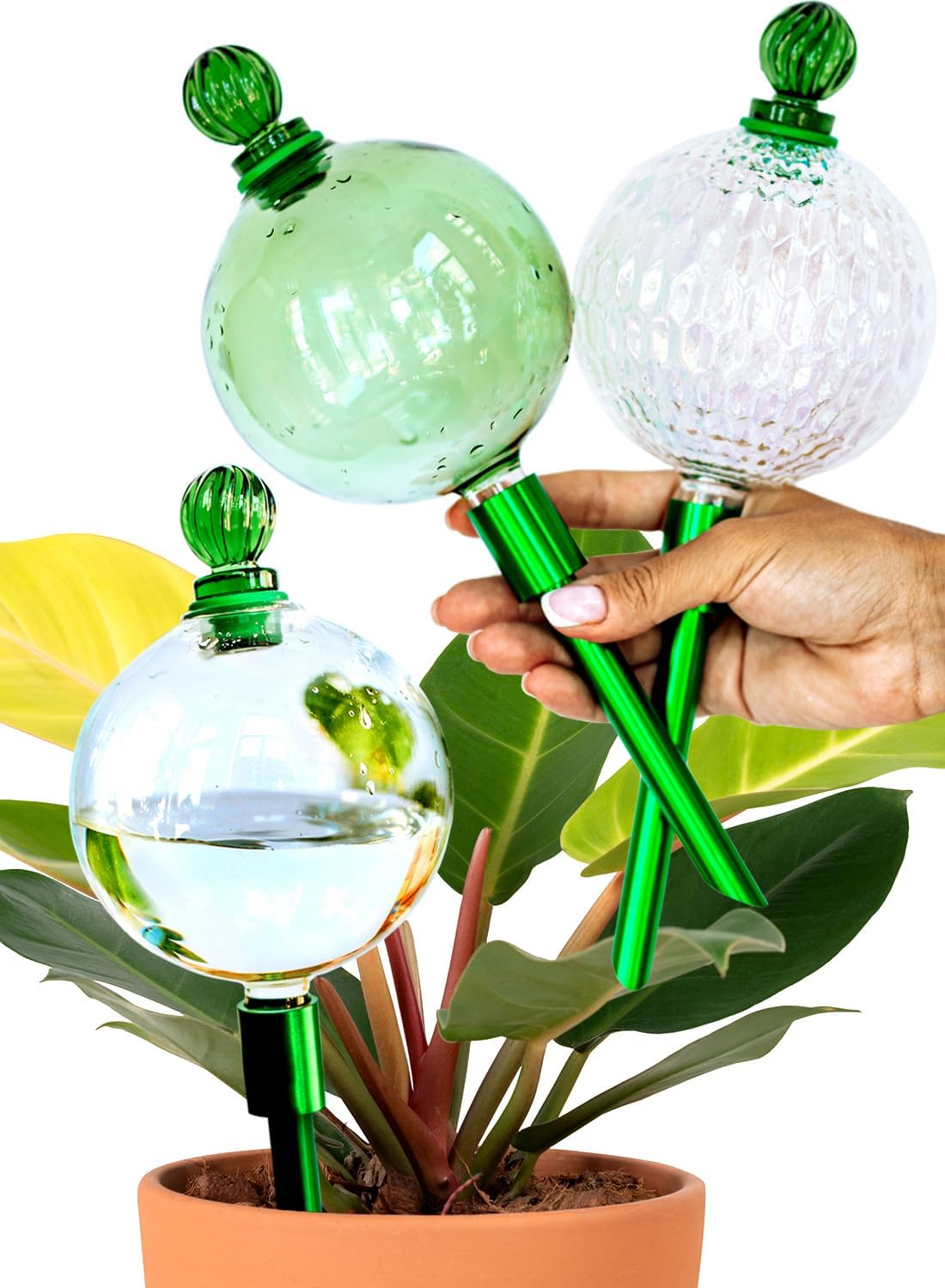 16 Oz Plant Watering Globes for Indoor Plants with Metal Self Watering Planter Insert - Premium XL Glass Hand-Blown Globes - Automatic Plant Waterer Indoor, Gift Idea for Gardeners [3 Globes]