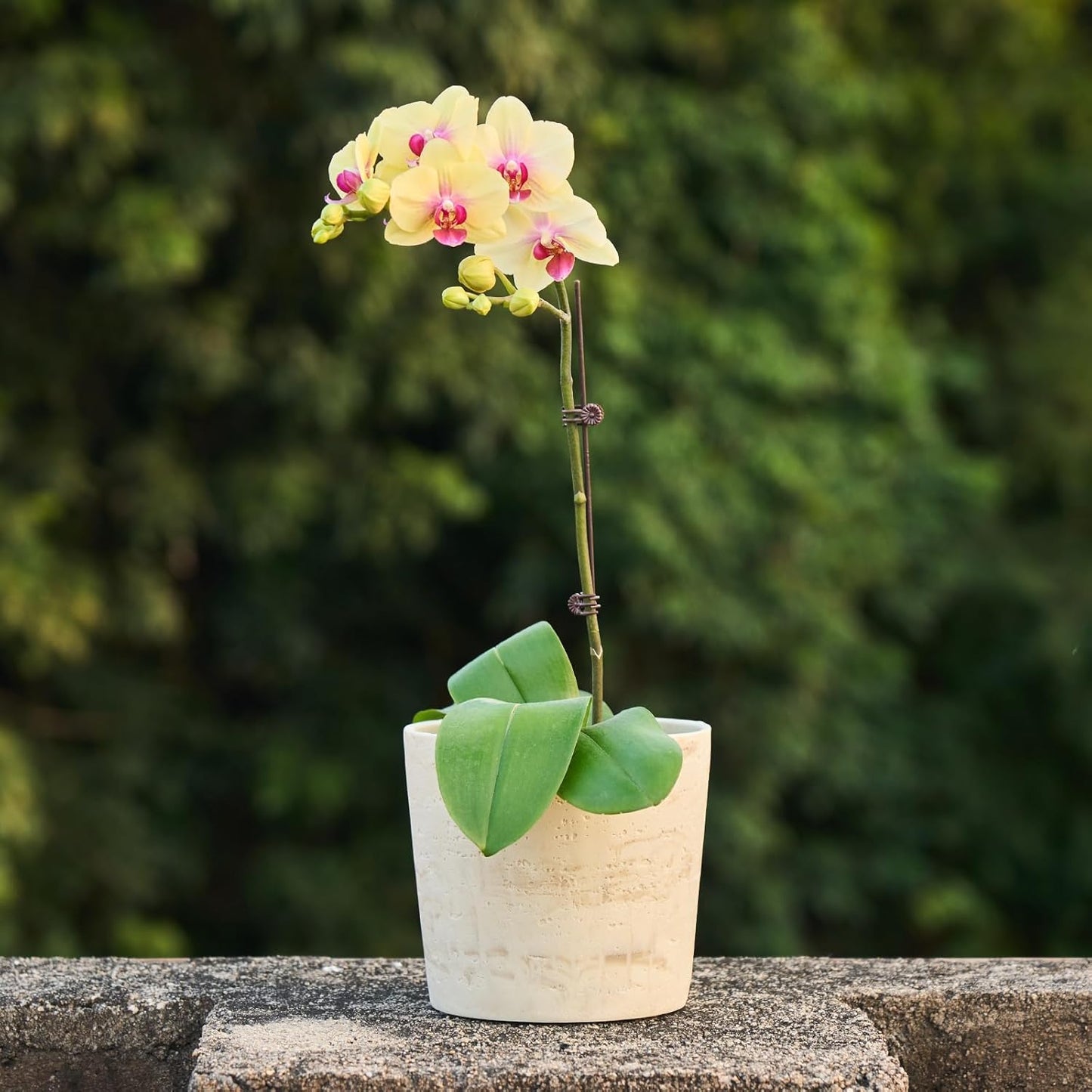 Ekirlin 7 Inch Natural Travertine Textures Plant Pot, Resin Outdoor Planter with Drainage Hole, Removable Rubber Stopper and Non-Slip Soft Pad,Weatherproof Decorative Pot for Indoor/Garden Plants