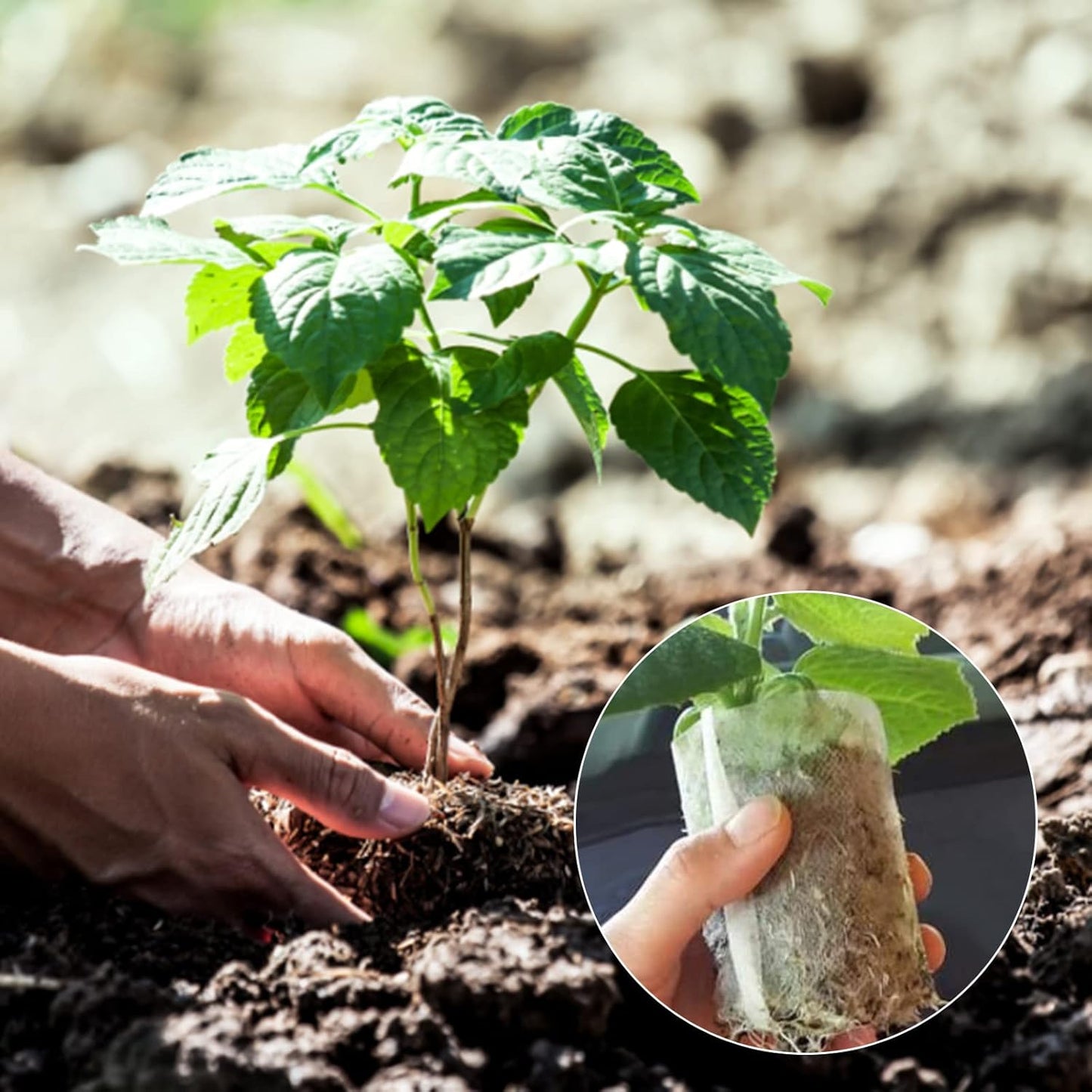 GREANER 200PCS Plant Nursery Bags, 3.5"x4.7" Biodegradable Non-Woven Fabric Plant Seeding Grow Bags, Vegetables Fabric Plant Seedling Pots, Transplant Pots Grow Pouch, Home Garden Supply