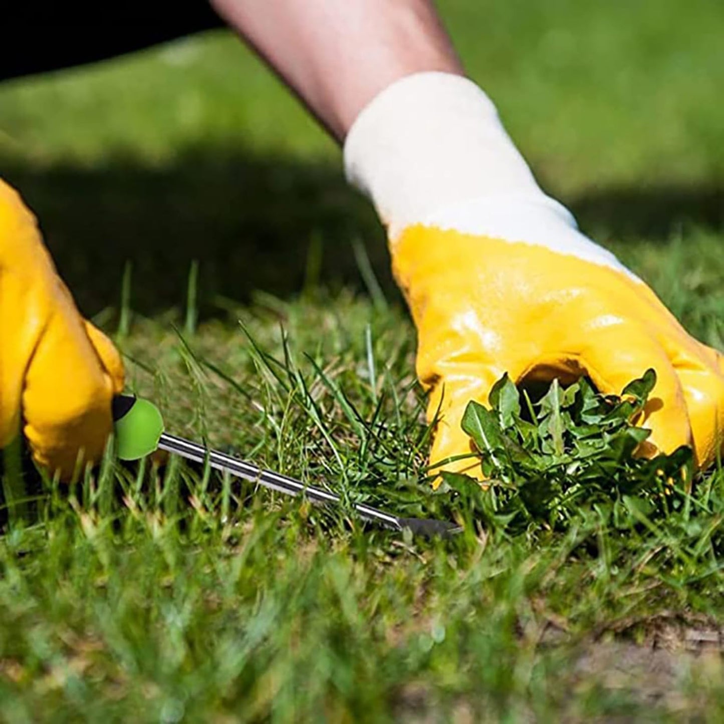 Maxmoral 12.99 Inch Garden Hand Weeding Tool with Ergonomic Handle Stainless Steel Farm Transplant Gardening Plant Loosening Root Starter