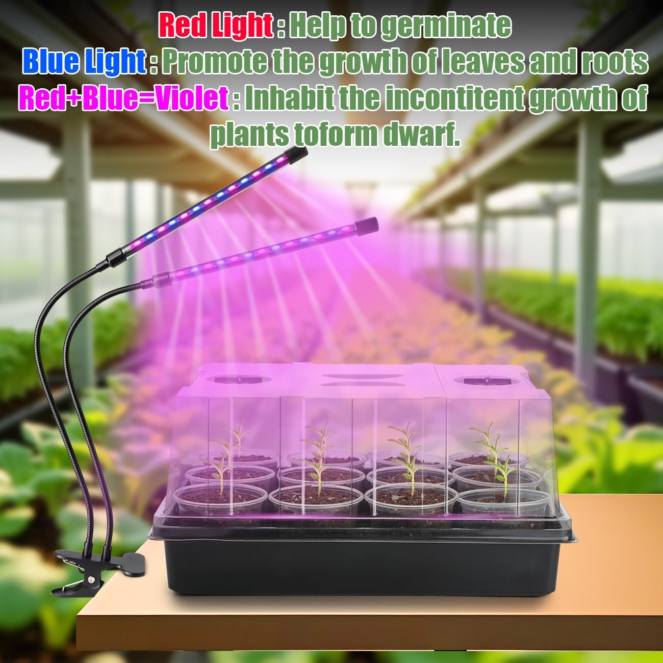 50p 3.5" Clear Nursery Pots with 4p Trays and 2p Adjustable LED Grow Lights – Transparent Plant Pots with Drainage Holes, Complete Seed Starter Kit with 5" Tall Humidity Dome for Plant Propagation