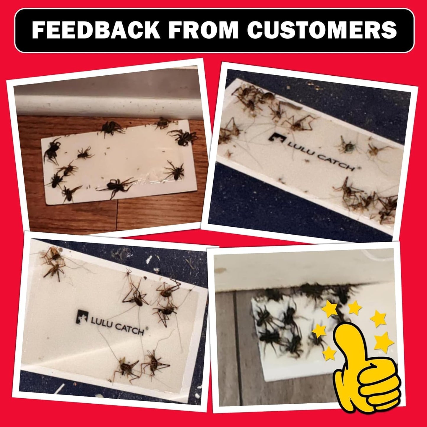 LULUCATCH Cricket Insect Glue Traps - 6 Pack Bug Cockroach Sticky Traps, Large Spider Trap with Pre-Baited Attractant, Highly Effective Glue Boards Indoor, Non-Toxic Pet Safe Pest Control