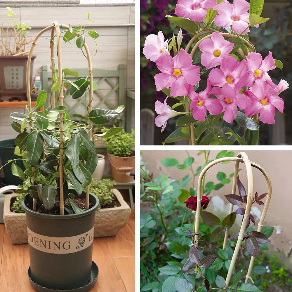 3PCS Natural Bamboo Trellis 3ft for Climbing Plants Indoor Outdoor, Garden Arch Support for Potted Plants Bamboo U Trellis for Vines Ivy Climbing Flowers