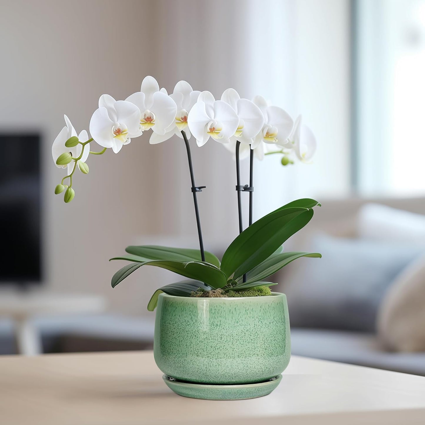 G EPGardening Ceramic Pots for Plants - 6 Inch Plant Pot with Drainage Hole and Saucer, Modern Ceramic Planter for Indoor Outdoor, Round Flower Planter, Gifts for Plants Lovers, Home Decor, Green