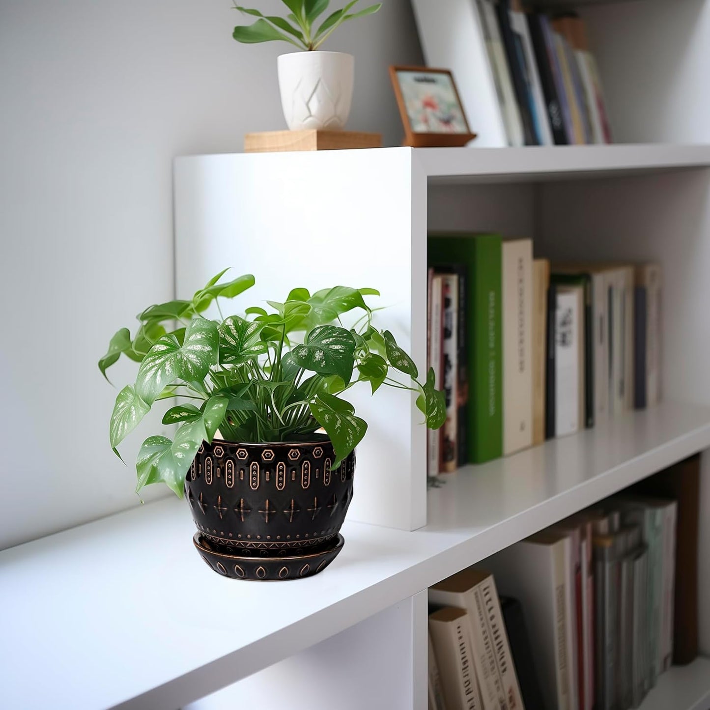 G EPGardening Ceramic Pot for Plants 5.5 Inch - Ceramic Plant Pot Indoor with Drainage Hole and Saucer, Round Boho Planter for Indoor Plants Outdoor, Housewarming Gifts, Garden Office Decor, Black