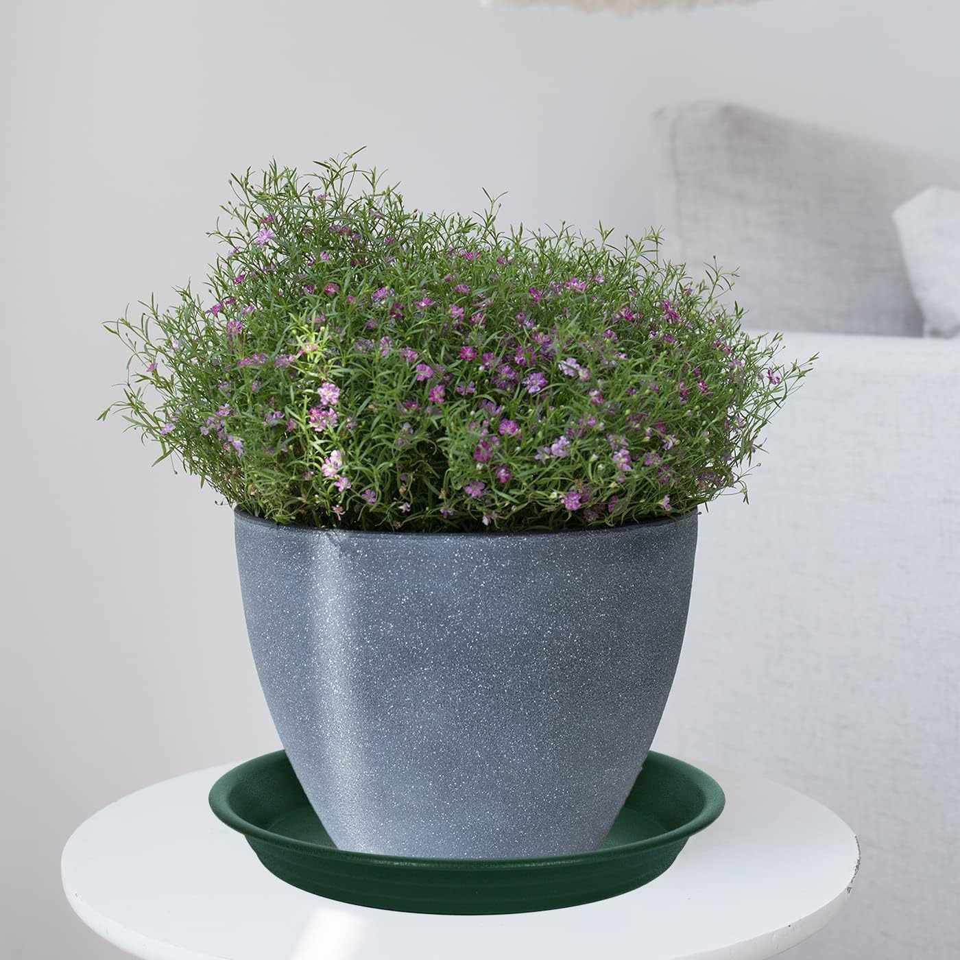 2 Pack Plant Saucer Drip Tray 9 10 inch, Plant Dishes Saucer Plastic Flower Planter Saucers and Drip Trays for Indoors Outdoors, Heavy Durable Plant Plate Water Catcher (10", Dark Green)