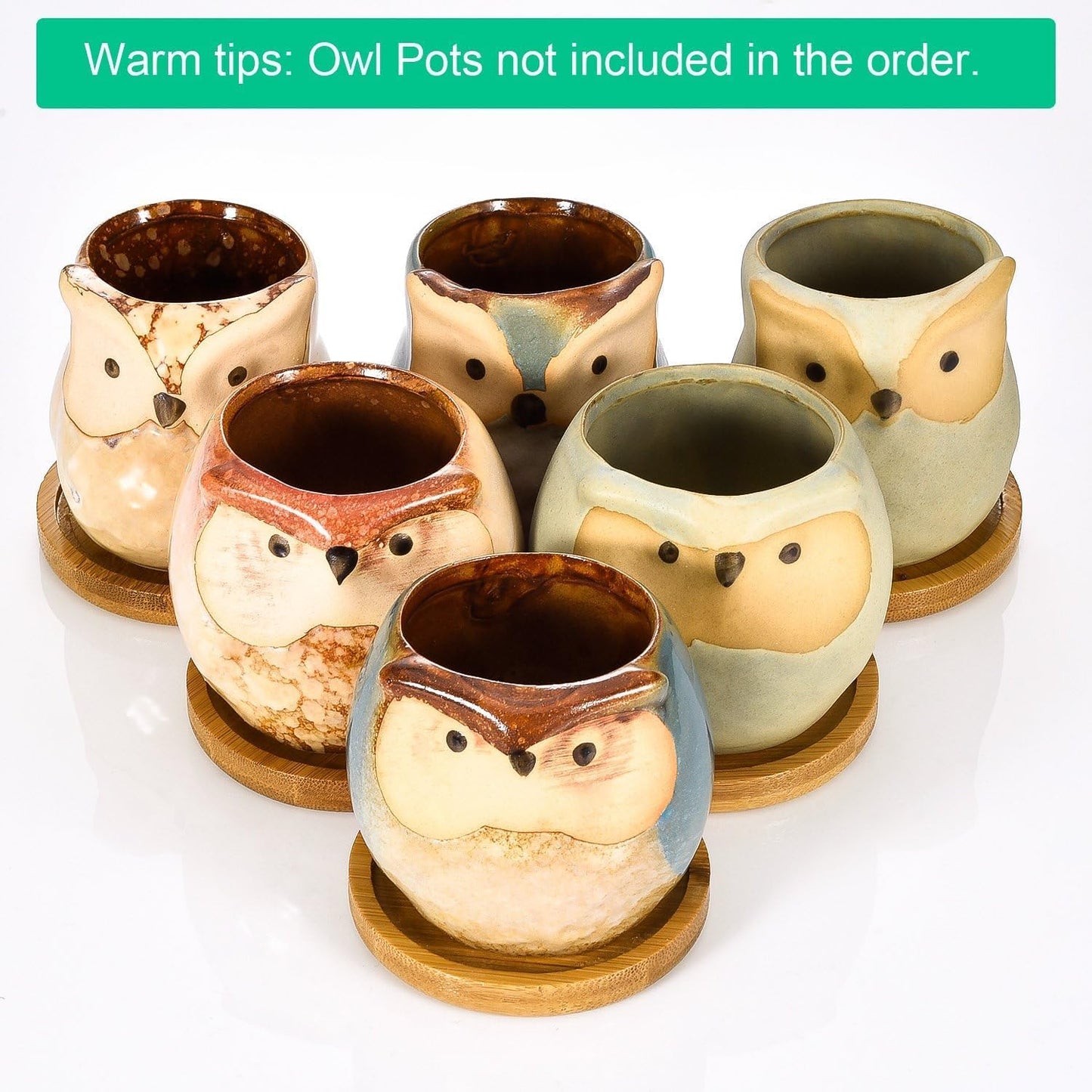 Frienda Trays 2.52 Inch Bamboo Round Plant Saucer for Most Plant Pot Flower Saucers Tray, Solution for Owl Pot with Hole(12 Pack)