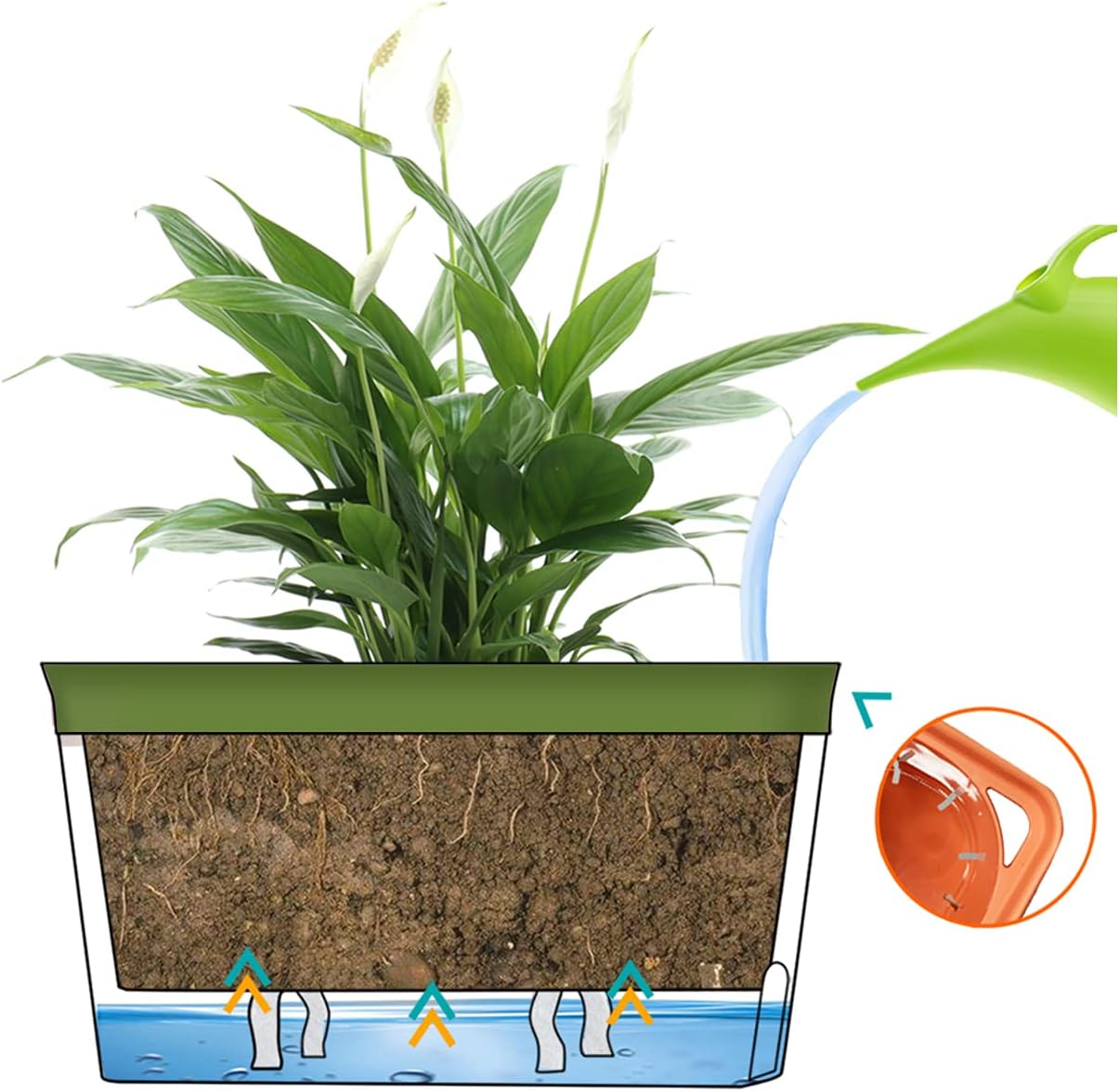 GardenBasix Self Watering Planter Pots Window Box for Indoor Plants Home Garden Modern Decorative Flower Pot for All House Herbs Succulents Set of 6 (6, Green(Rectangle))