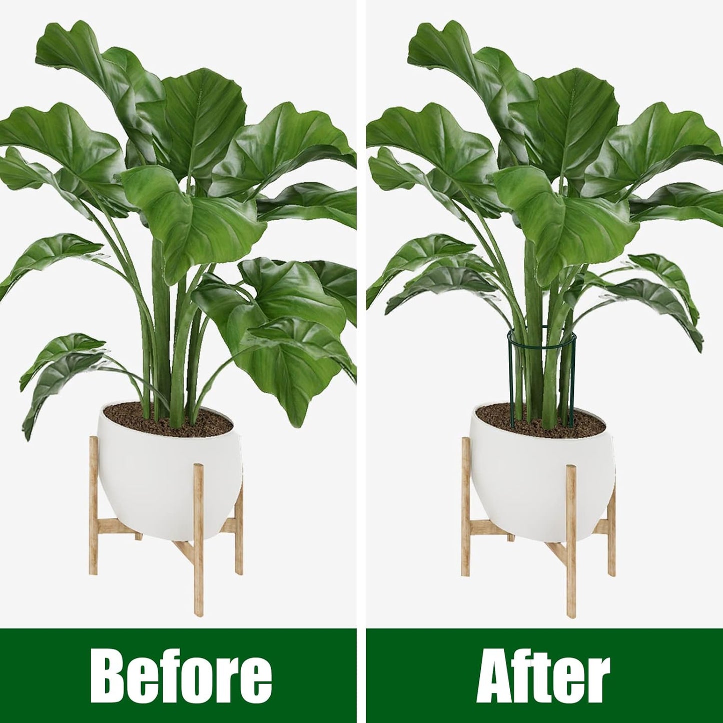 FEED GARDEN 6 Pack Plant Support Stakes, Metal Garden Plant Stake(10" Wide x 16" High) Green Half Round Plant Support Rings for Potted Plants, Plant Cage for Tomato, Hydrangea