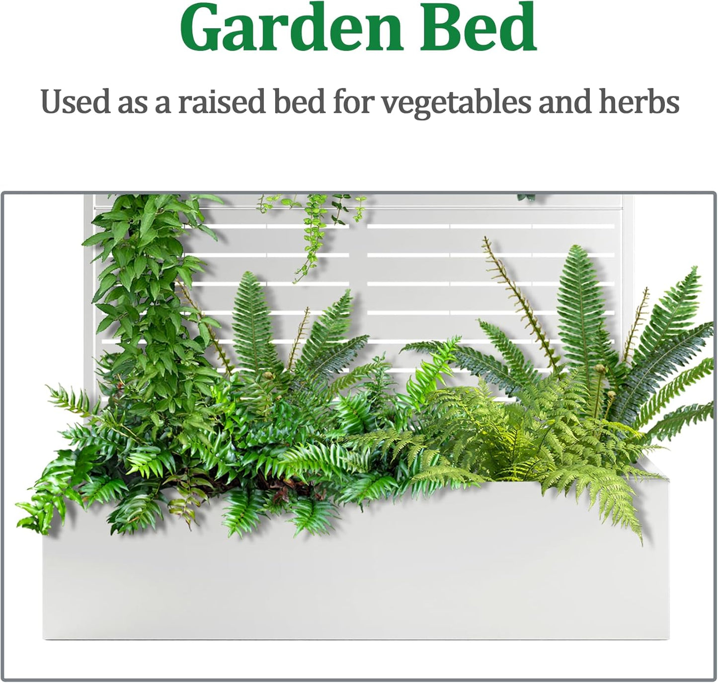 Metal Raised Garden Bed with Trellis, 2 in 1 Trellis with Planter Box & Privacy Screen for Climbing Plants, Vine, Outdoor Standing Flower Beds with Drainage Holes, 47" L x 16" W x 71" H, White