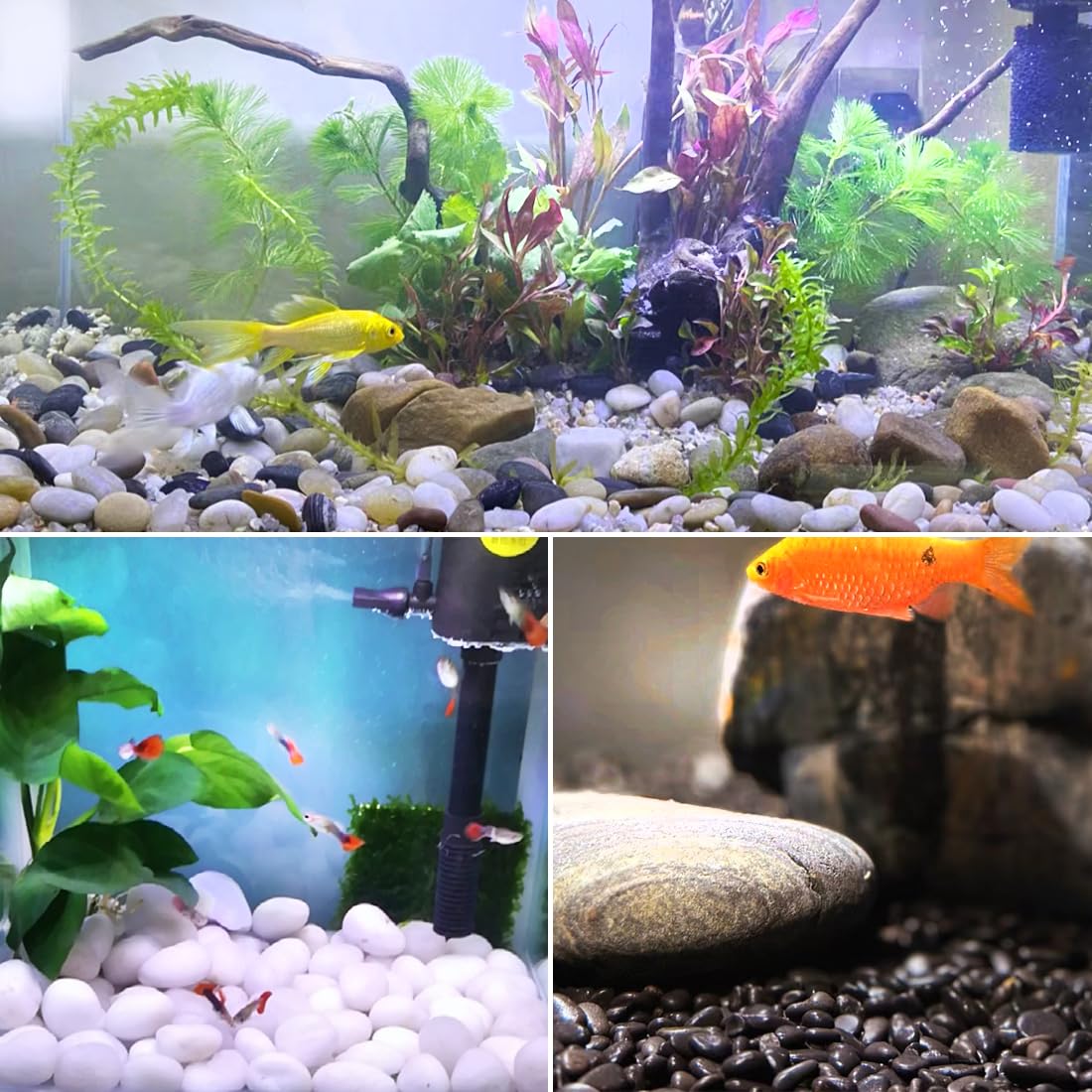 20lbs Black Pebbles for Landscaping, 2-3 Inch High Polished Natural Large River Rocks for Plants, Decorative Stones Vase Filler Fish Tank Aquariums Garden Outdoor and Indoor DIY