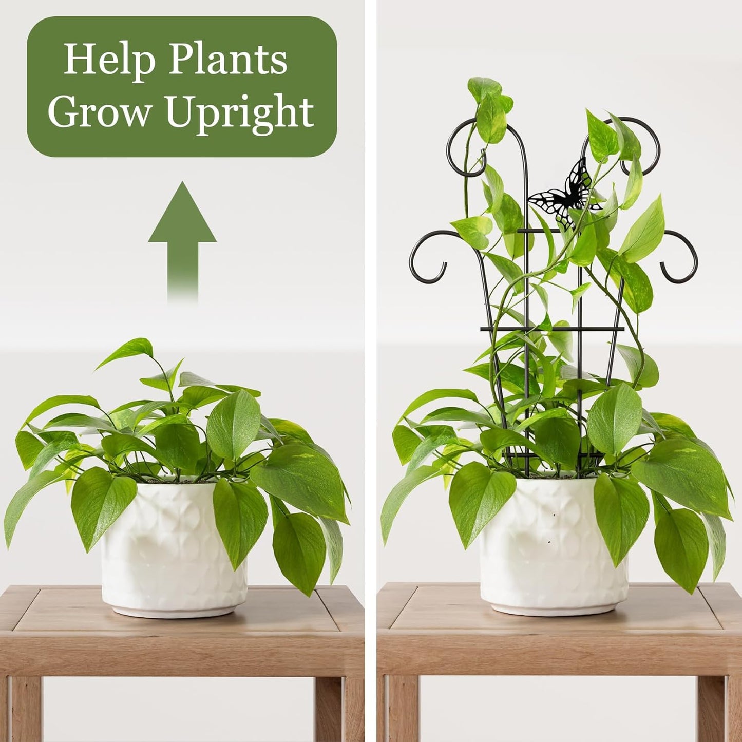 Indoor Plant Trellis for Climbing Plants, Stackable Garden Trellis for Potted Plants, Small House Plant Trellis for Vine Ivy Flower Plant Support Outdoor DIY Metal Trellis 3 Pack, Butterfly Design