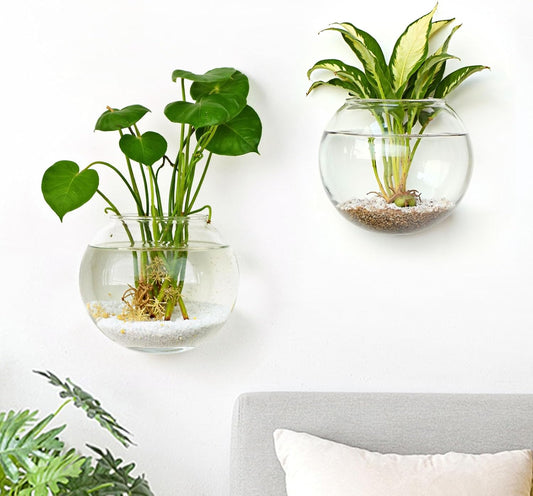 DomeStar 2PCS Wall Flower Vases, Wall Hanging Glass Planter Propagation Station Mounted Vases for Hydroponics Plants Propagation Living Room Office Home Decor