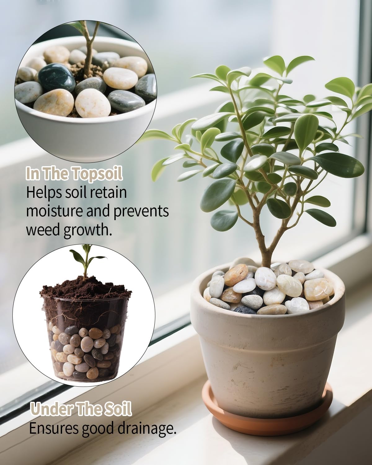 6lb Natural Polished River Rocks - 5/16-5/8 Inch Decorative Stones for Plants Garden Landscaping & Outdoor Decor Small Smooth Pebbles for Indoor/Outdoor