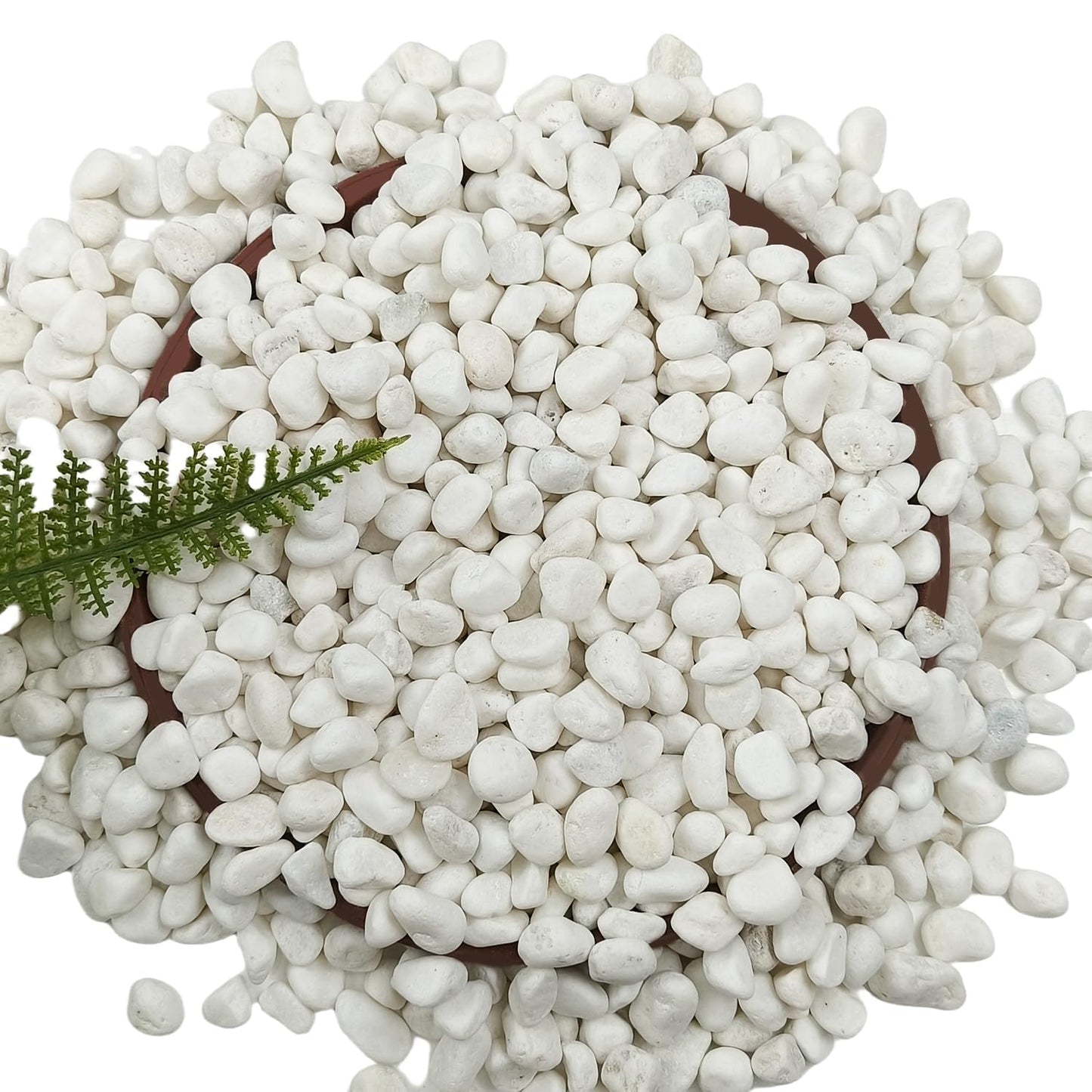 5 LB Natural White Gravel for Plants, Succulents & Cactus, Aquarium, Fish Tank, 0.6 inch Small White Pebbles for Vases, Rocks for Landscaping, Indoor Potted Plants, Garden and Home Decorative Stones