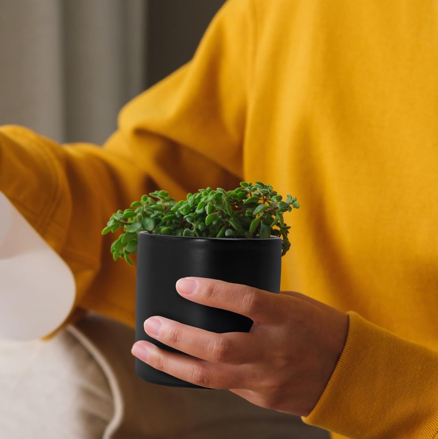 D'vine Dev 3.5 Inch Ceramic Planter Pot with Drainage Hole and Saucer, Indoor Cylinder Round Planter Pot, Black, 94-O-A-2