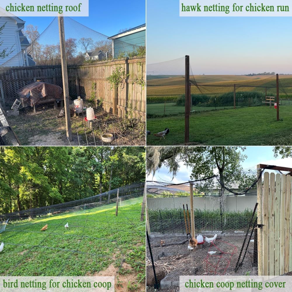 Bird Netting for Chicken Coop 50x100 Ft, 1" Mesh, Strong Woven Poultry Netting Roof Cover for Chicken Run, Heavy Duty Bird Net for Fruit Trees, Blueberry, Vegetables, Garden Protection