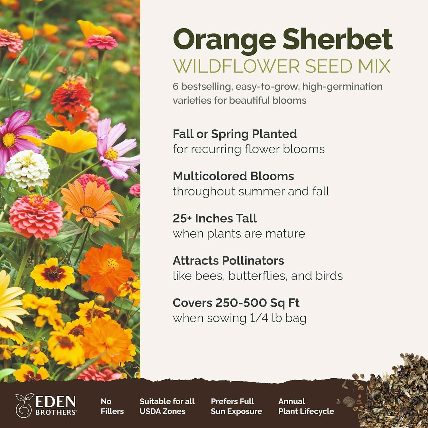 Eden Brothers Orange Sherbet Flower Mixed Seeds for Planting, 1/4 lb, 120,000+ Seeds with Cosmos Picotee, Bright Lights | Attracts Pollinators, Plant in Spring or Fall, Zones 3, 4, 5, 6, 7, 8, 9, 10