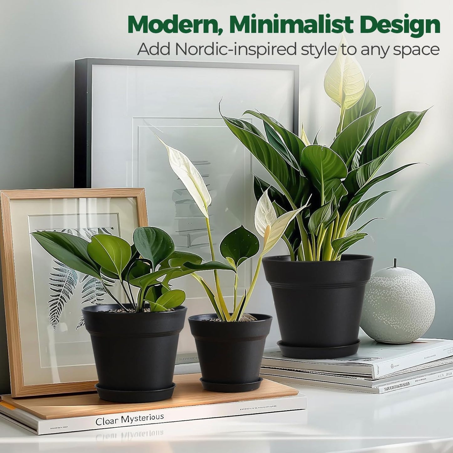 T4U 6 Inch Plant Pot 8-Pack, Plastic Planter with Drainage Hole and Saucer, Decorative Nursery Pots Bulk for African Violet, Snake Plant, Succulent, Herb and Plants Indoor (8 Pcs 6" Pots, Black)