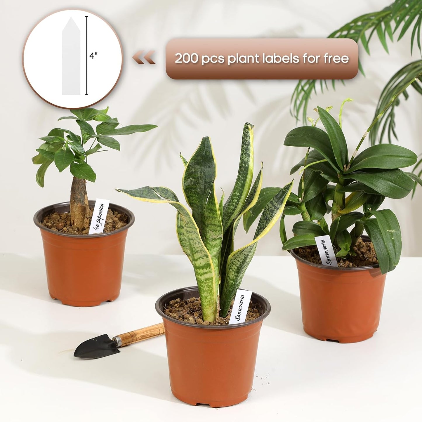 200 Pack 6 Inch Plastic Nursery Pots for Plants, Seedling Pots Succulent Pots Flower Pots with Drainage Holes, Come with 200pcs Plant Labels