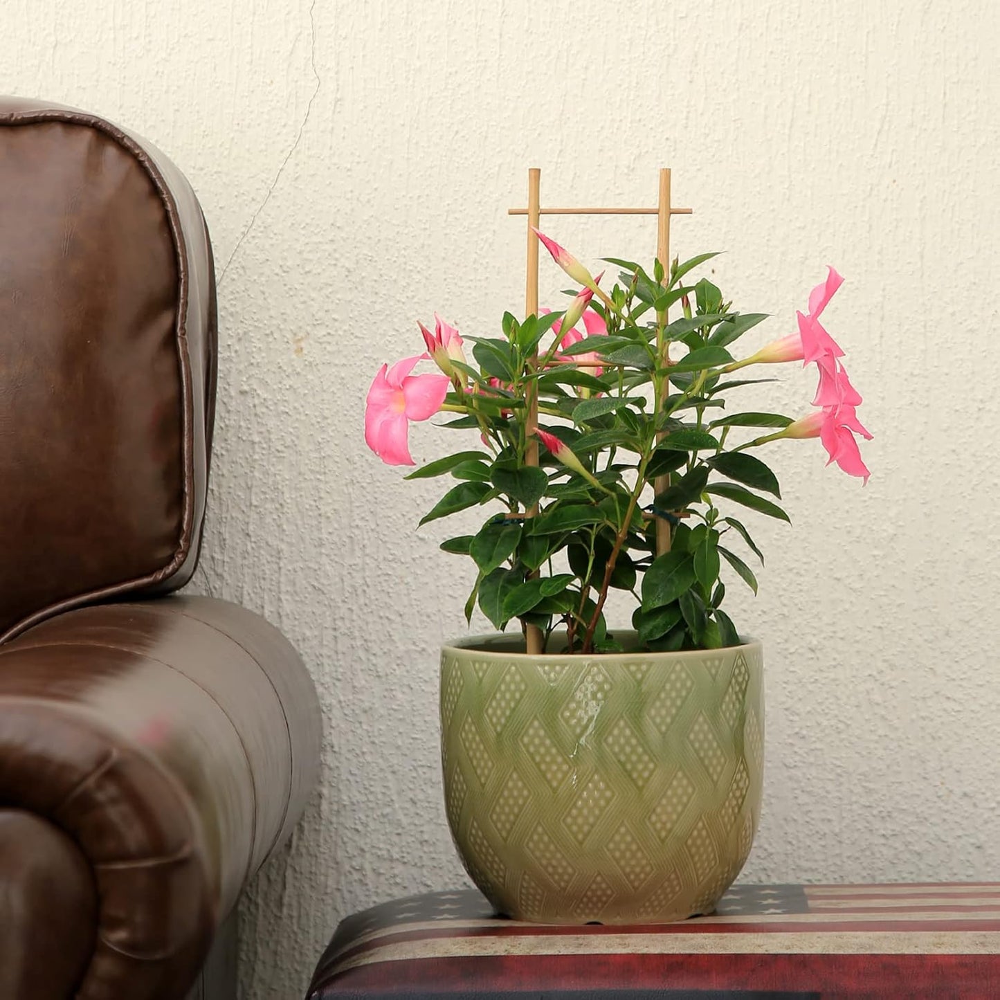 3Pack Bamboo Trellis 16 Inch Ladder Shaped Small Plant Trellis for Indoor Potted Plants Climbing Monstera Orchid Vine Hoya Houseplant