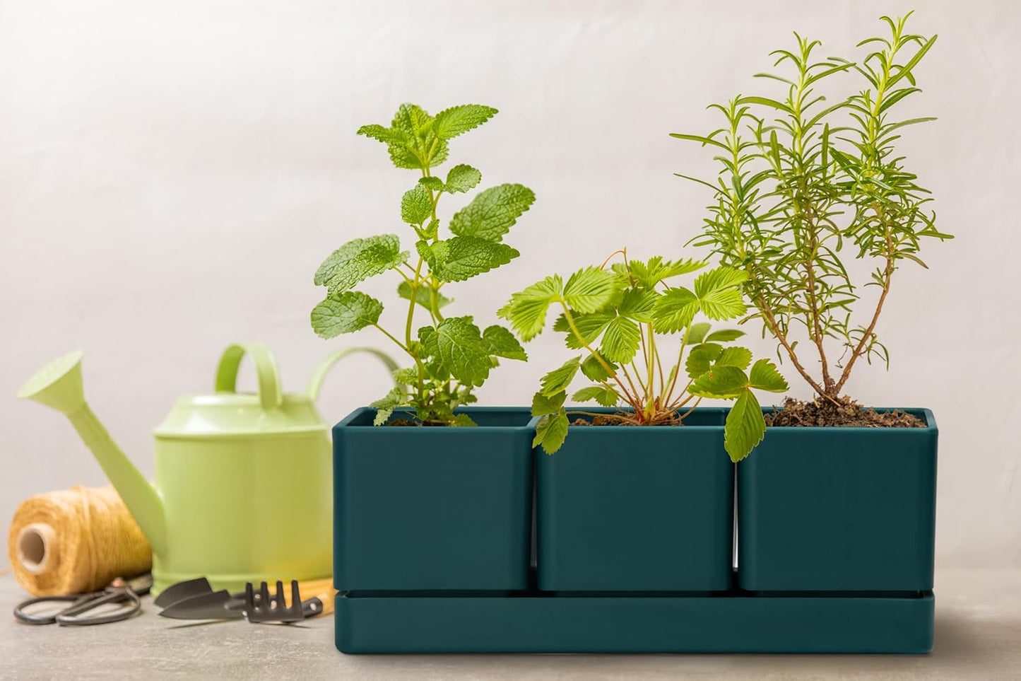 D'vine Dev Herb Garden Planter Set, Plastic Plant Pots with Drainage and Saucer, Indoor Succulent Cactus Vegetable Pot for Windowsill, Garden Balcony, Green, Set of 2, 76-V-C-2