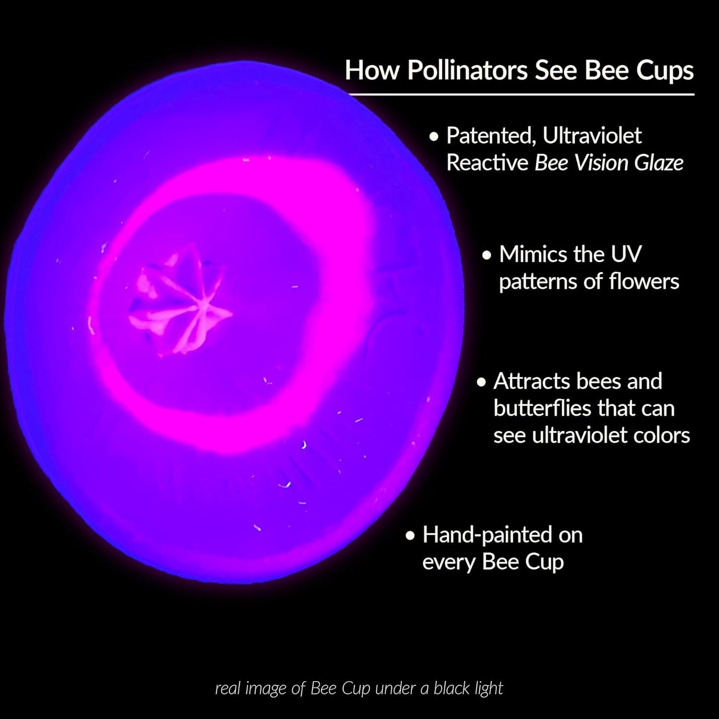 5 Pack, Bee Watering Station, 100% Handmade Porcelain, Bee and Butterfly Feeder for Garden, Outdoor Feeders for Thirsty Pollinators, Plastic Free, Pollinator Attracting Glaze (5, Cape Cod)