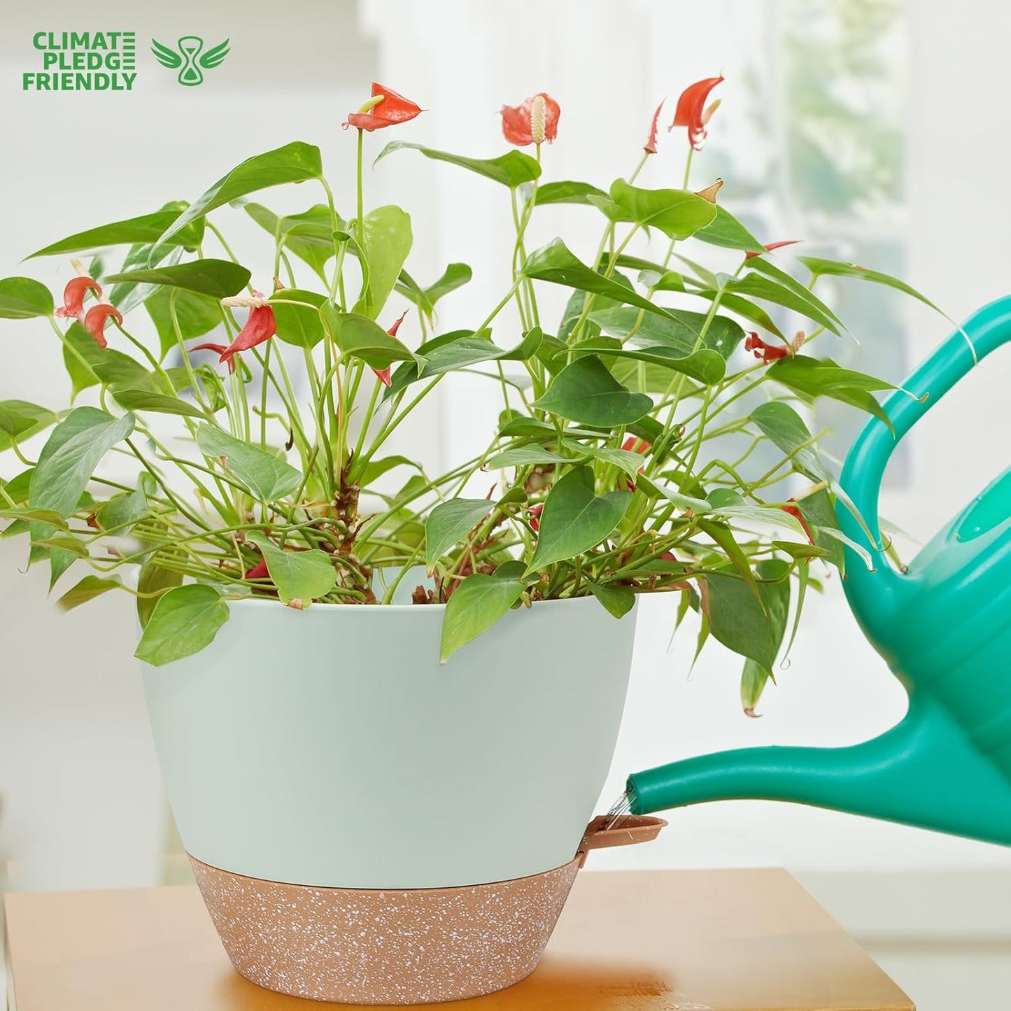 12 inch Large Self Watering Plant Pots, Flower Pots Planters with Multi Mesh Drainage Holes for Indoor Outdoor Garden Plants and Flowers