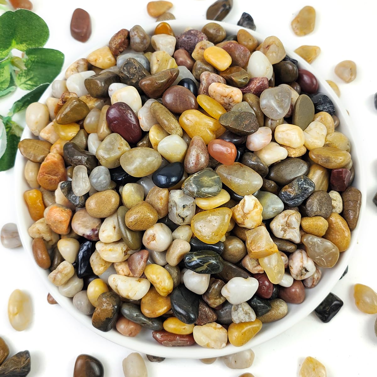 10LB Succulent and Cactus Gravel Pebbles, 3/8 Inch Decorative Polished Stones, River Rocks for Plants, Vases, Aquariums, Terrarium and Outdoor Gardening, Natural