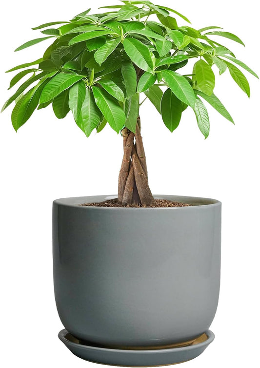 Indoor Planter 7 Inch - Round Ceramic Plant Pot for Cactus Orchid Plants with Drainage Hole and Saucer, Home Outdoor Patio Office Decor, Gray