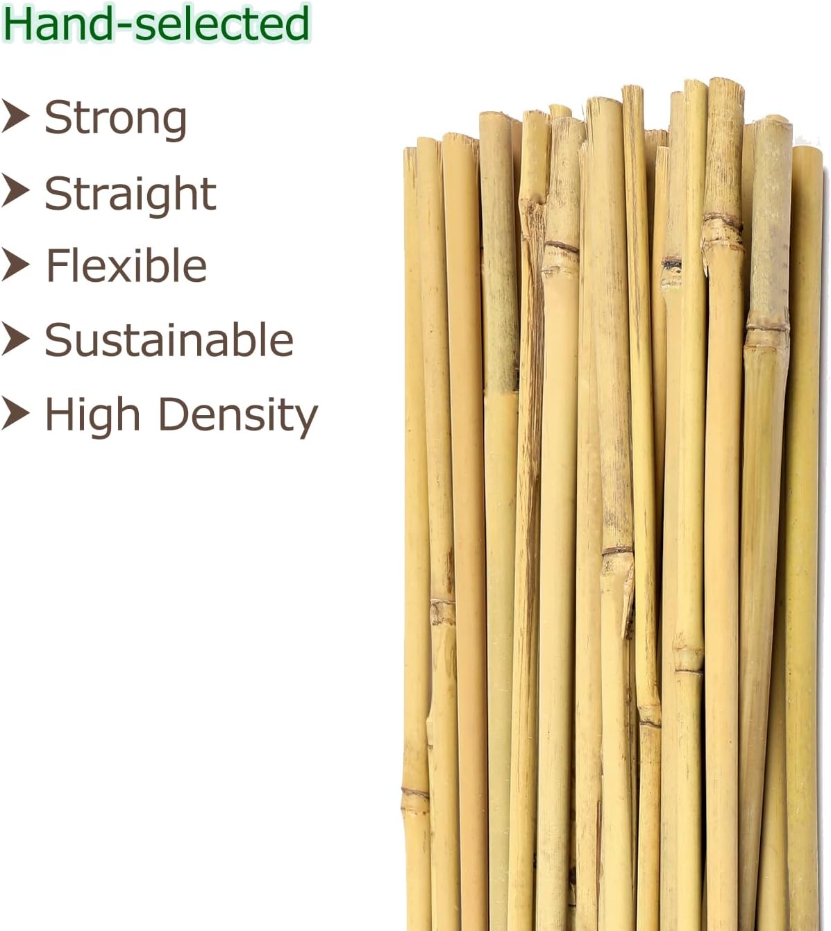 6ft Bamboo Garden Stakes Eco-Friendly Plant Stakes 6 Feet, Bamboo Poles for Tomatoes Beans Climbing Plants Support - Pack of 20 Bamboo Stakes Natural