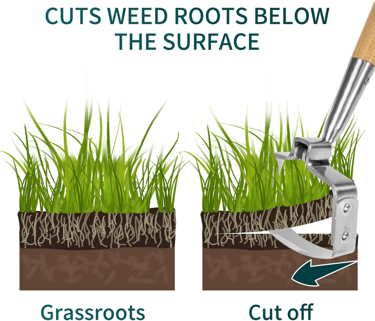 Berry&Bird Garden Weeder Hoe, 63'' Stainless Steel Hula Hoe for Weeding, Action Stirrup Hoe for Gardening Loop Scuffle Hoe with Wooden Long Handle Hand Weeder Tool Push Pull Dutch Hoe Heavy Duty