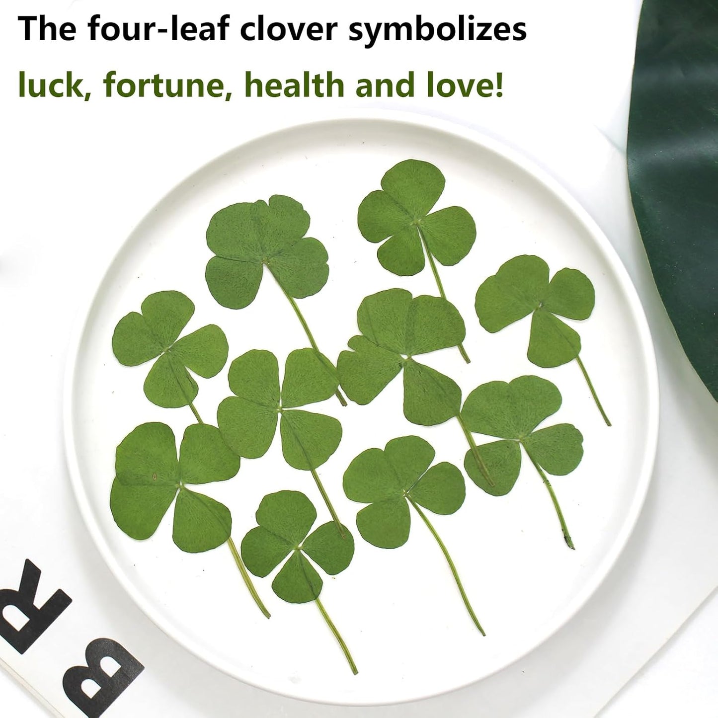 48 Pcs Mix Lucky Clover Natural Dried Pressed Flowers for Resin, Jewelry Making, Real Dry Flower for Cake Decorating , DIY Art Crafts - Four Leaf Clover