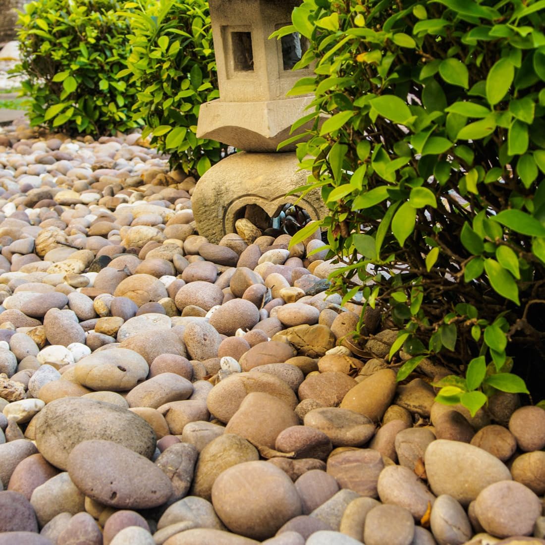 20lbs Natural River Rocks, 2"-3" Premium Pebbles for Garden and Landscape Design, Hand-Picked Smooth Stones for Fish Tank, Flower Pots, Indoor Water Fountains, Pathways, Backyard