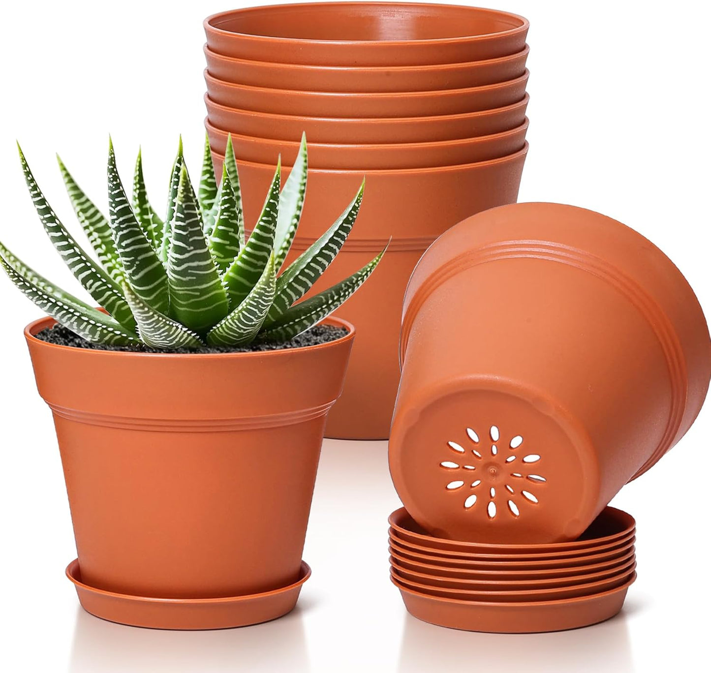 T4U 5 Inch Plant Pot 8-Pack, Plastic Pots with Drainage Hole and Saucer, Decorative Flower Pots Bulk for African Violet, Snake Plant, Succulent and All House Plants Indoor (8pcs 5" Pots)