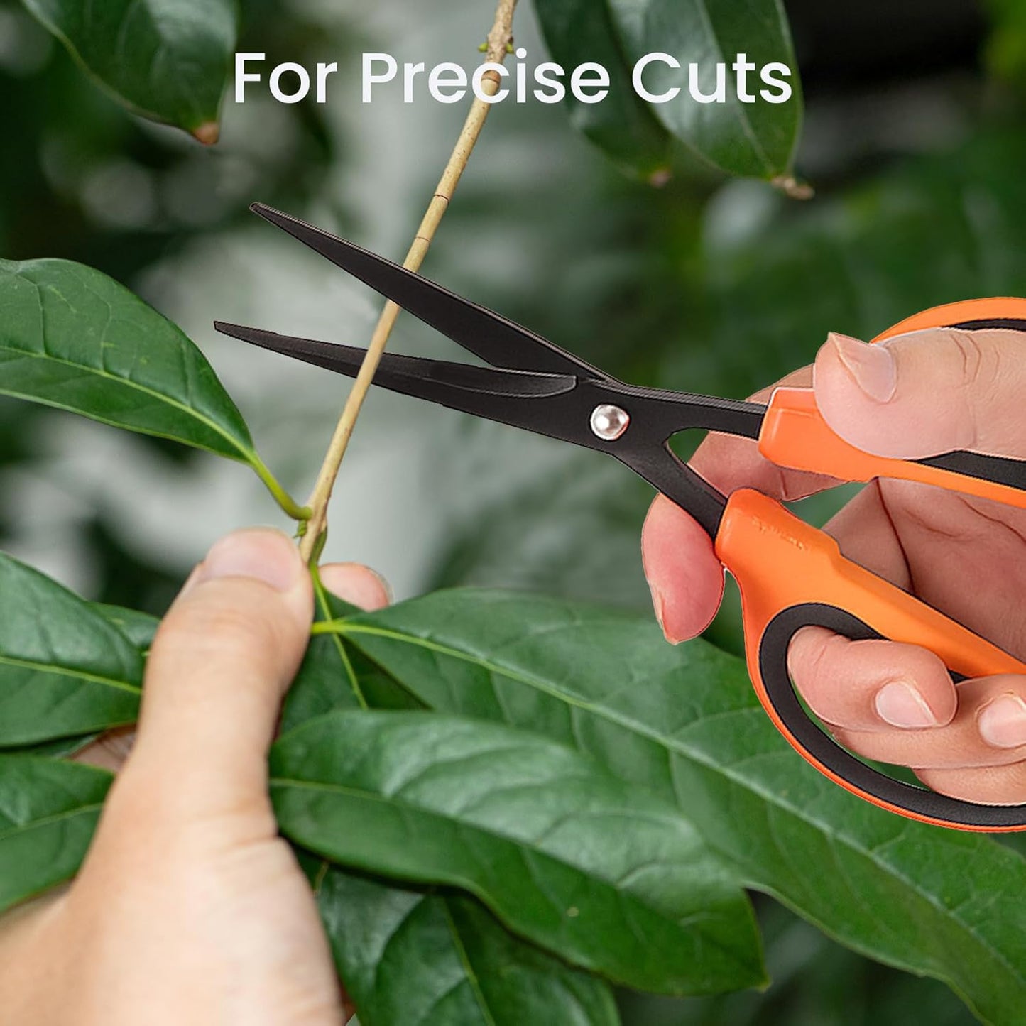 GROWNEER 1 Packs Trimming Scissors Teflon Coated Non Stick Blades Pruning Shears Gardening Hand Pruning Snips with Straight Stainless Steel Precision Blade