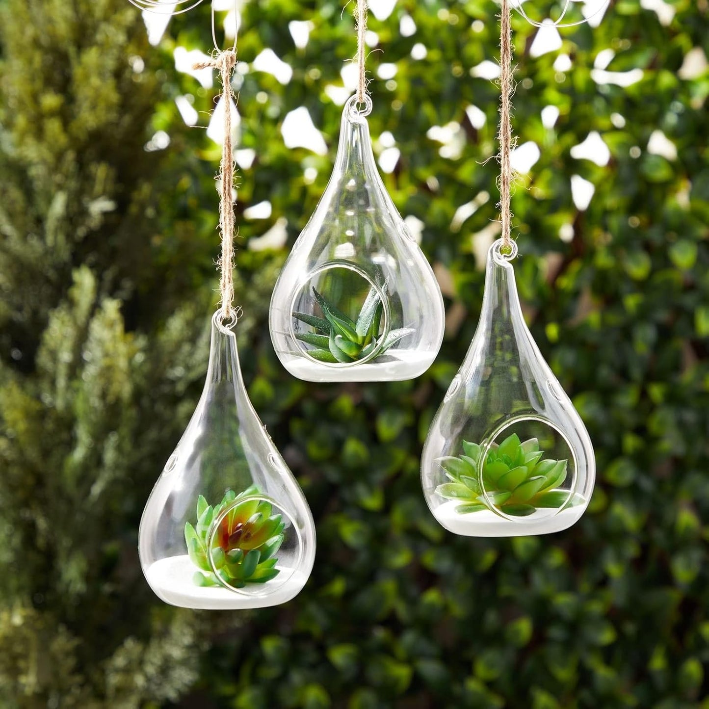 Juvale 5-Pack Hanging Glass Terrarium Containers - Air Plant Holder, Succulent Planter, Tea Light Candle Hangers (3.5x5 in) - Planter Terrariums - Hanging Air Plant Holders