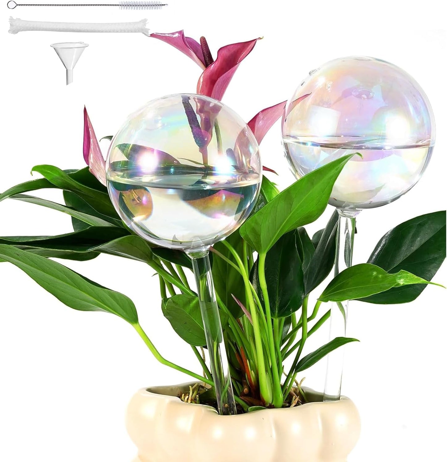 Extra Large Plant Watering Globes 2PCS, 13 oz Up to 15 Days Light Iridescent Glass Self Water Bulbs for Indoor Outdoor Plants, Vacation Automatic Planter Waterer System Self-Watering Stakes