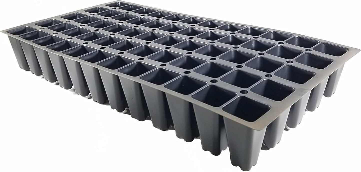 San Jose Juniper | 3 Live Plants | Juniperus Chinensis | Bonsai Drought Tolerant Cold Hardy Evergreen Groundcover