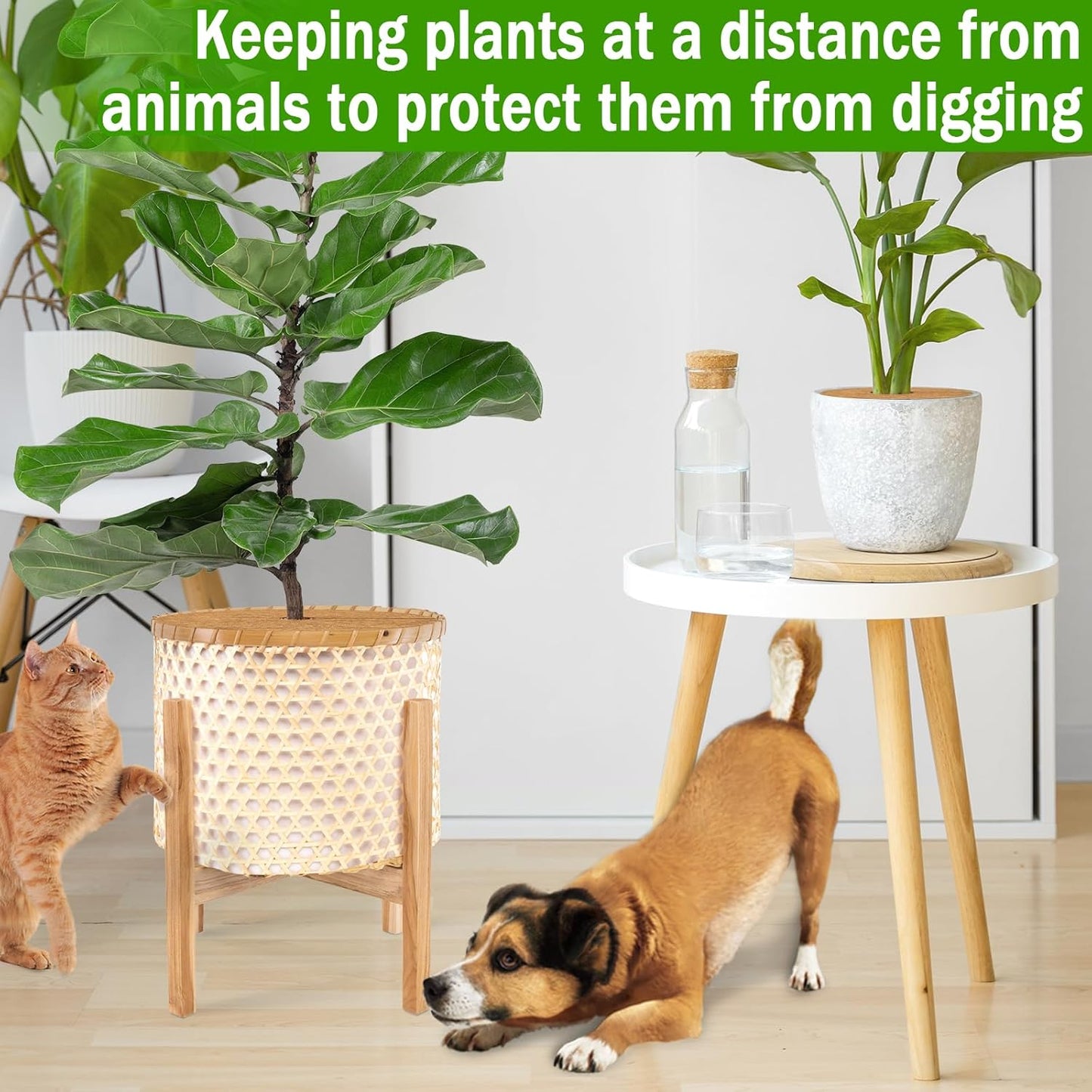 ZeeDix 10 Pack 14 Inch Coconut Fiber Mulch Ring, 100% Natural Coco Coir Tree Ring Mulch Mat Plant Protector Mat, Coconut Coir Discs Plant Pot Soil Cover for Indoor Outdoor Plants, Garden Decoration