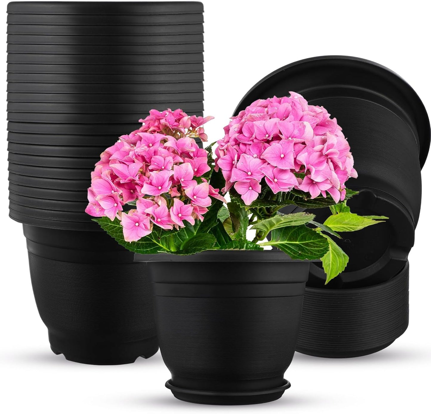 12 Pack 8+'' Plastic Plant Pots Round Planter Pots with Saucer Tray Seedling Pot Hole Seed Resin Plant Pot Starting Nursery Flower Container with Pallet for Garden Outdoor Indoor(Black)