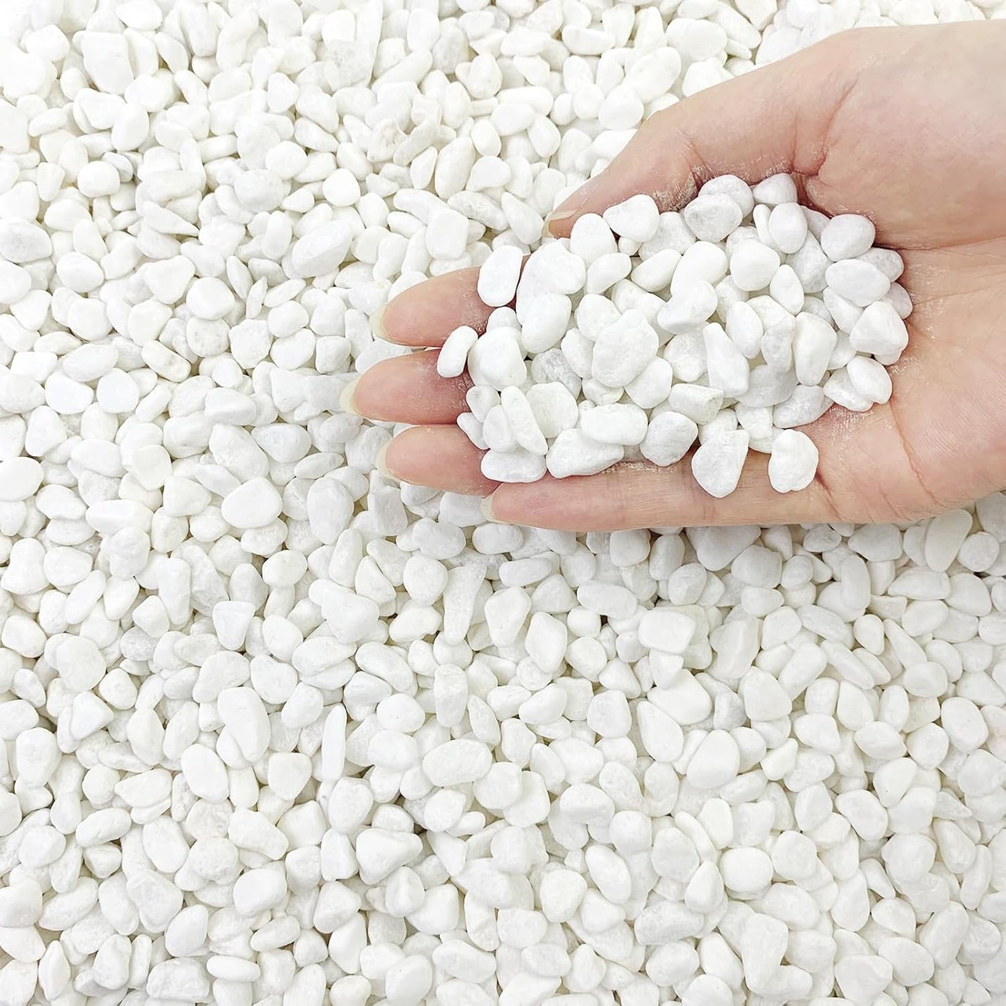 2 lbs White River Rocks for Plants, 3/8 Inch Gravel Pebbles for Plants. Decorative White Stones for Succulents, Cactus, Vase and Outdoor Garden Landscaping