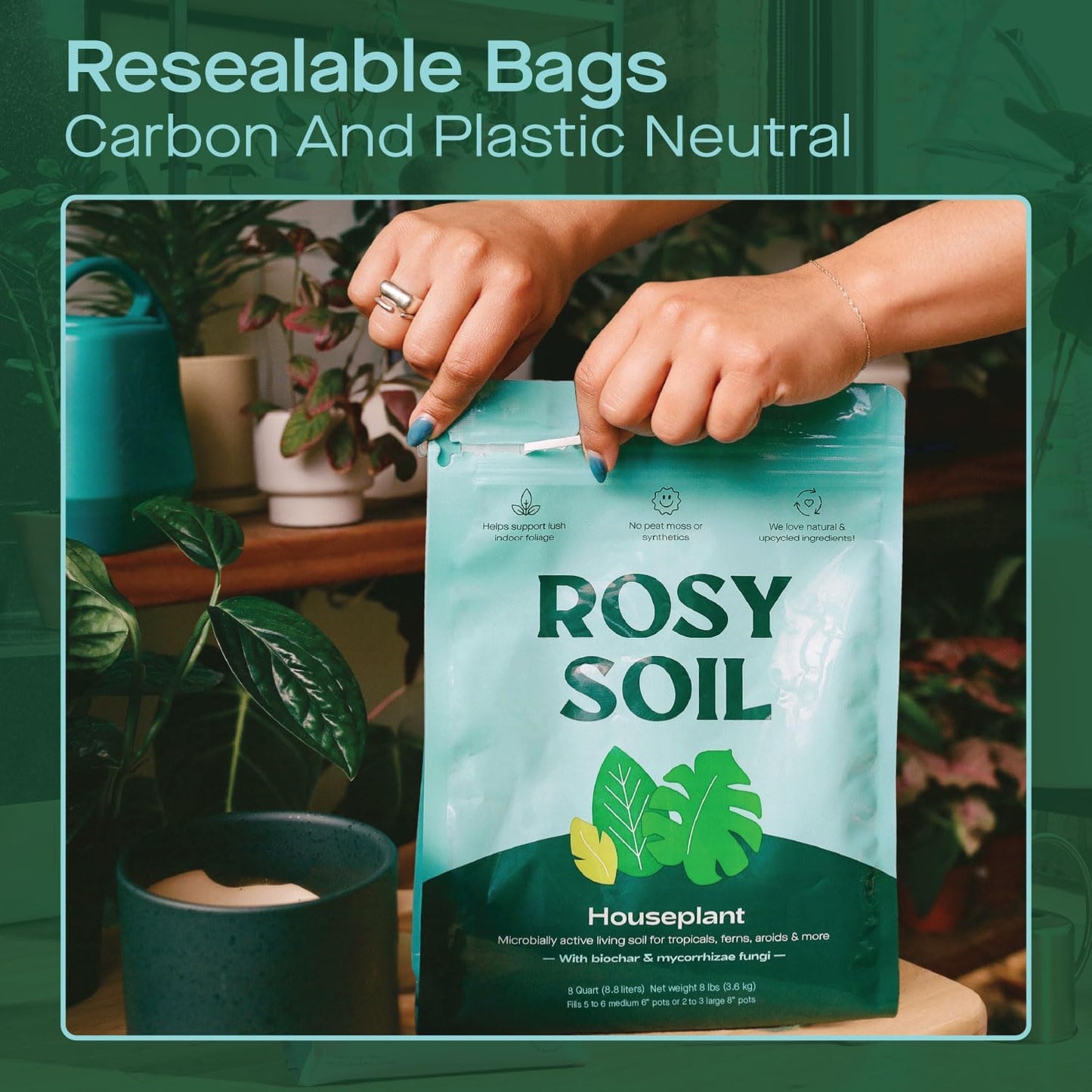 Rosy Soil Indoor Potting Soil for House Plants - Organic Potting Soil Mix for Indoor Plants - Enriched w/Root-Boosting Biochar for Foliage Plants, Flowers, Herbs - Peat Free, Less Prone to Gnats - 8qt
