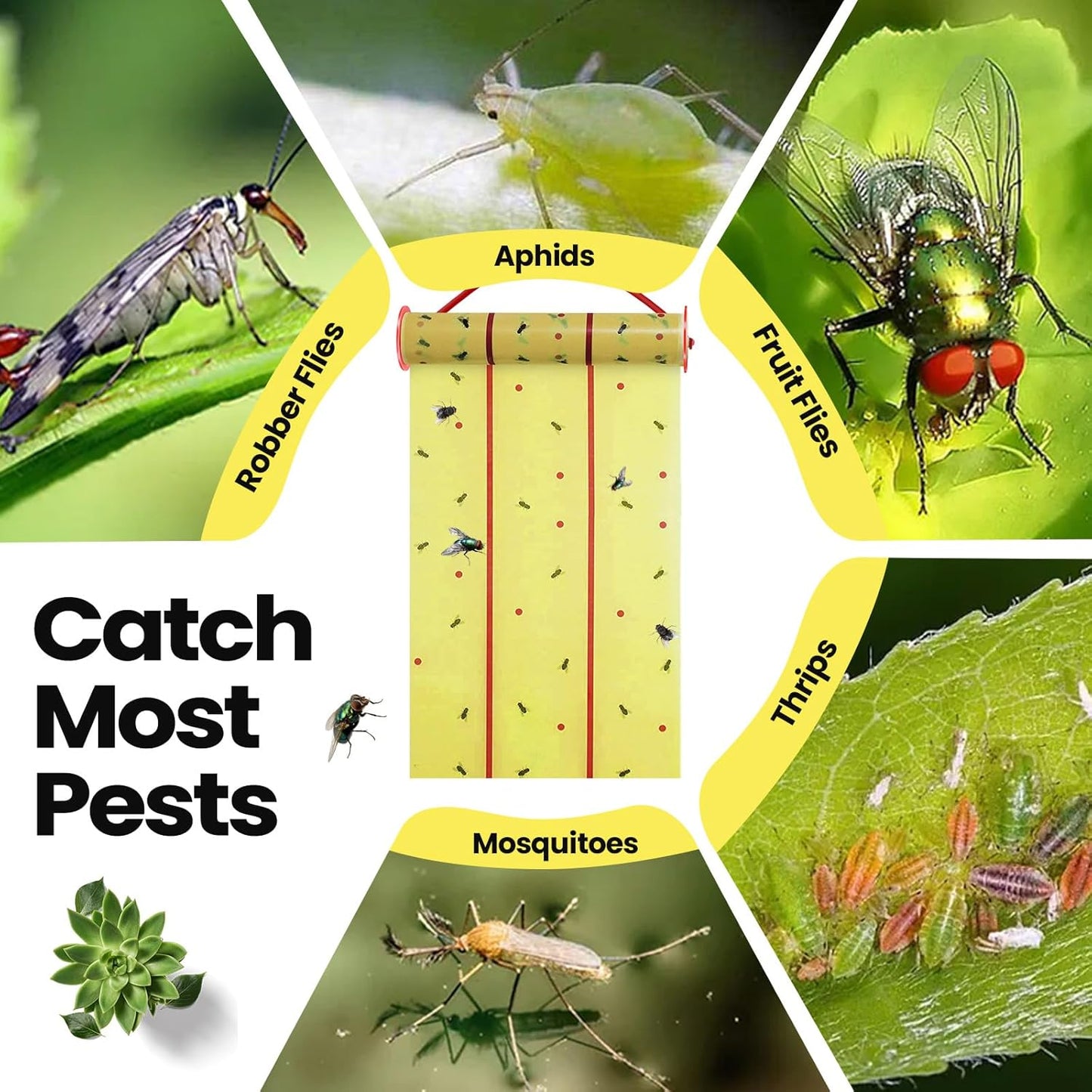 Qualirey Giant Sticky Fly Traps,30 Feet Fly Strips for Indoor Outdoor Hanging Flying Tapes Non Toxic Ribbon Fruit Gnat Killer for Mosquito Plants House Horse Stable (Fluorescent Green,15 Pcs)