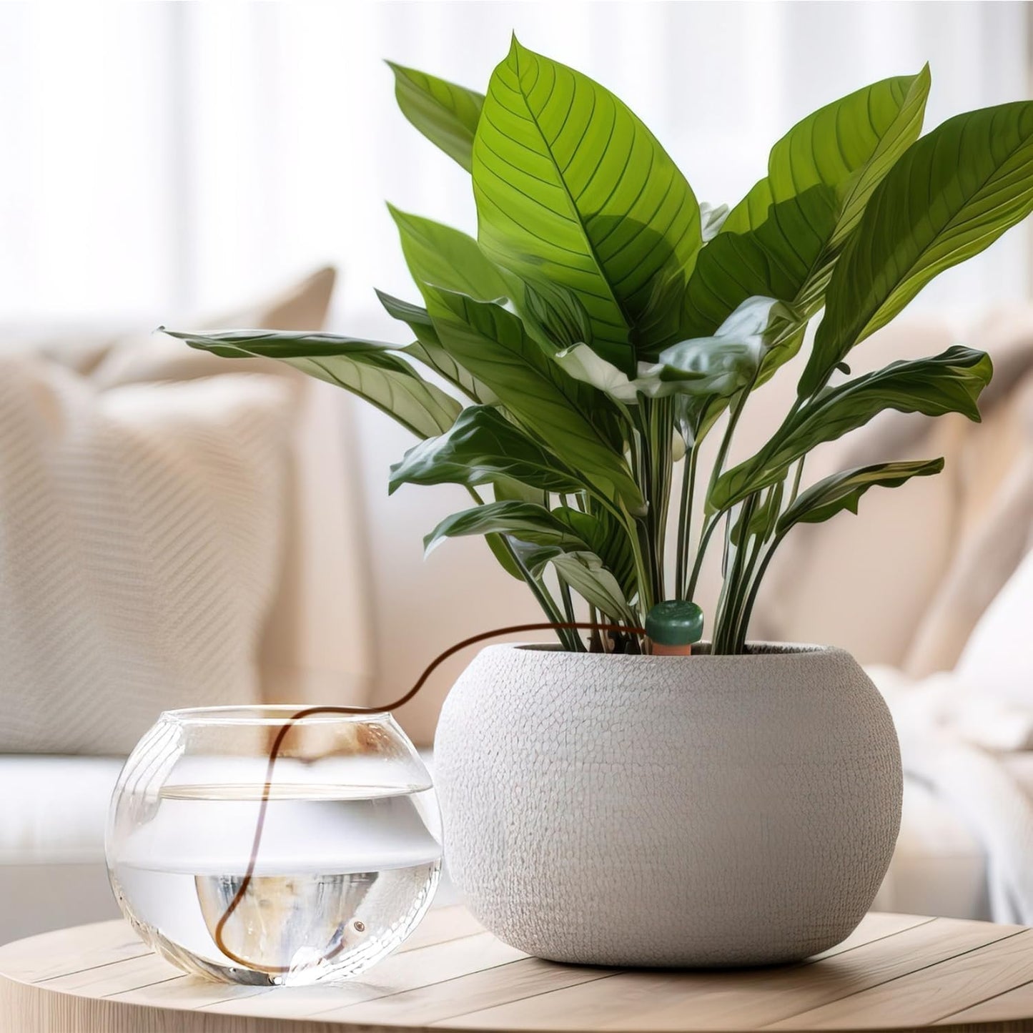 Blumat Classic Plant Watering Stakes (6 Pack) (with Adapter)