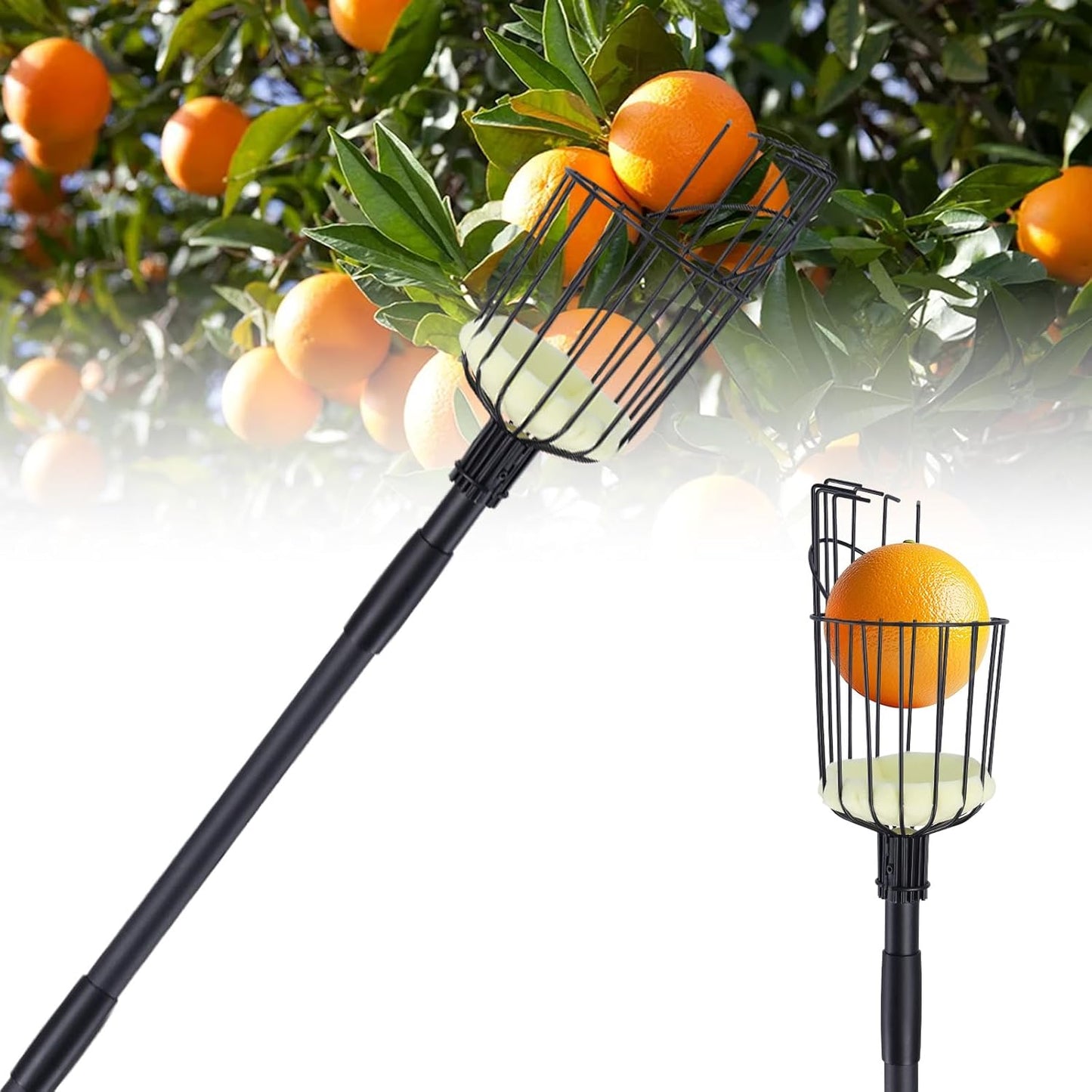 Fruit Picker Pole with Basket, 8.43FT (101 Inch) Adjustable Fruits Picker Tool with Stainless Steel Handle Fruit Grabber Reach Tool for Apple Mango Pear Avocados Fruit Picking, Black