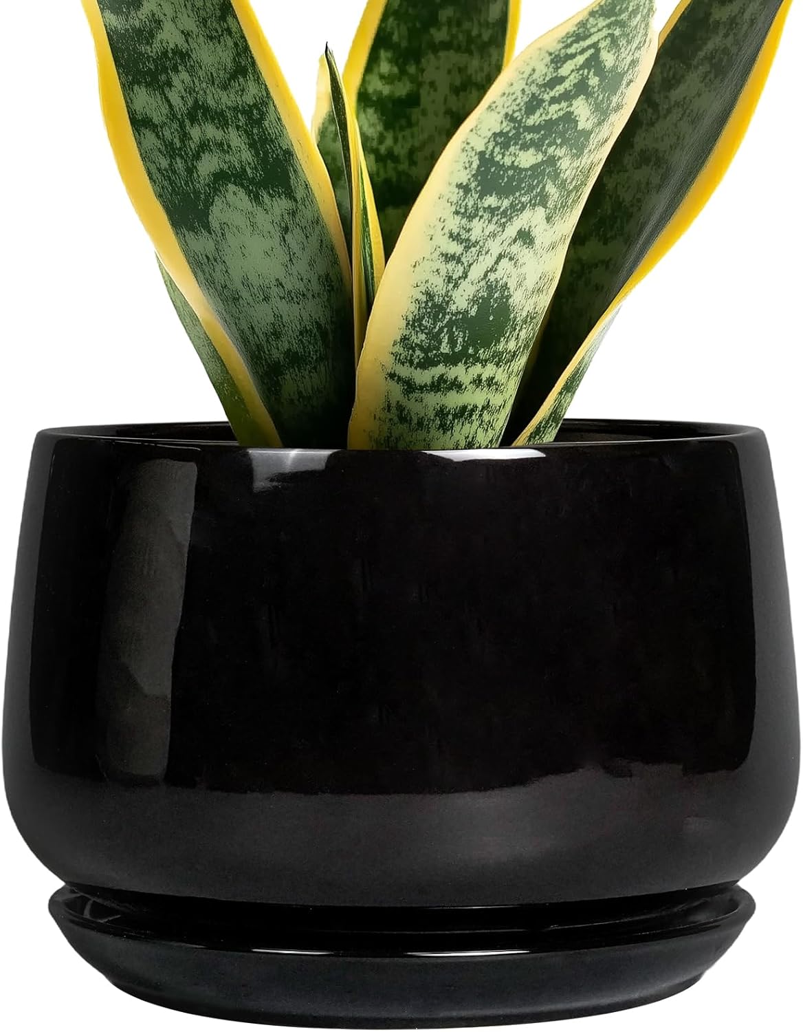 G EPGardening Ceramic Planter 7 Inch - Ceramic Pot for Plants with Drainage and Saucer, Round Plant Pots, Modern Indoor Outdoor Planter, Home Decor, Garden Gifts, Black
